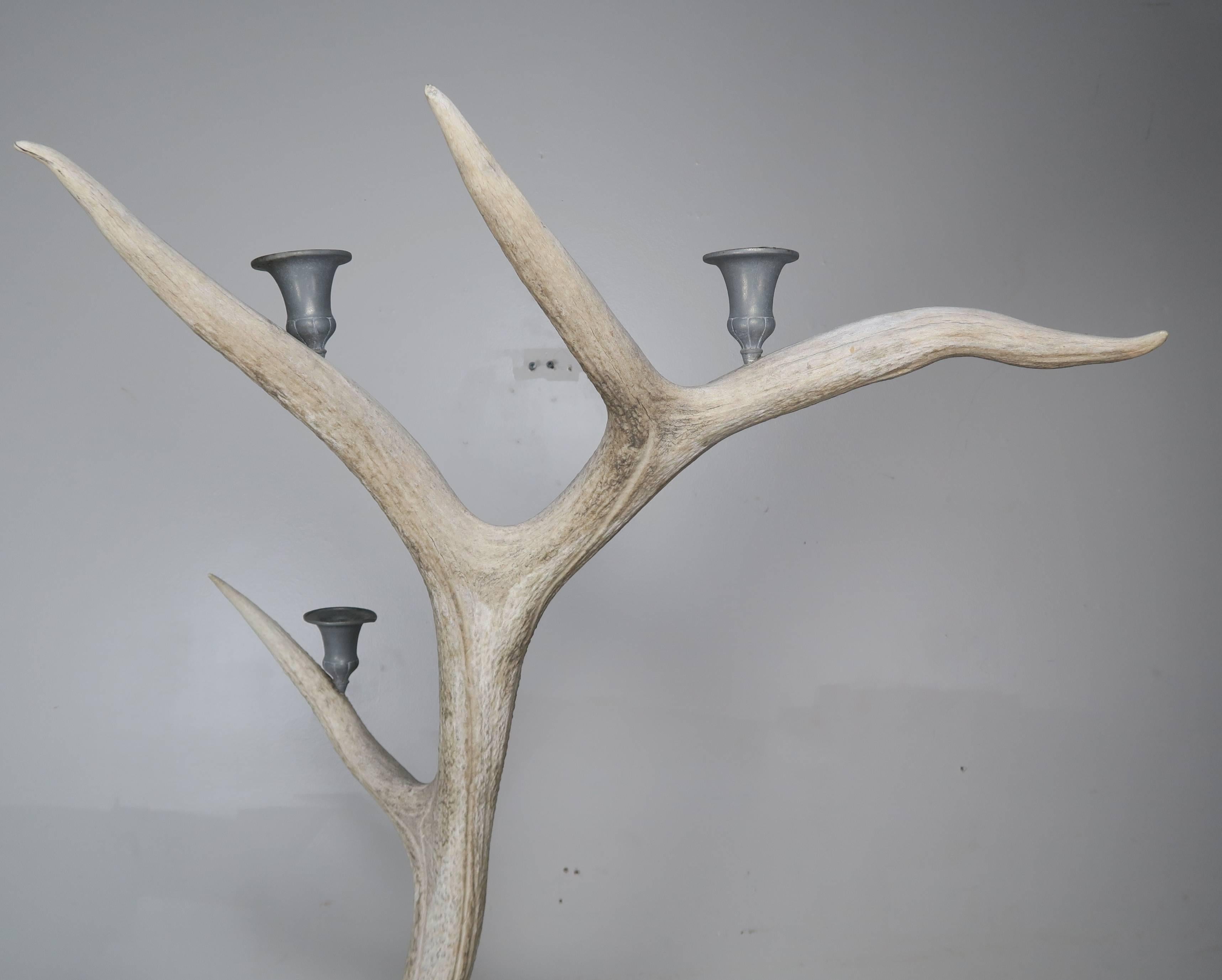 Pair of English Antler and Pewter Candleholders, circa 1900 2