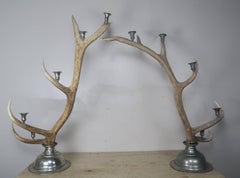 Pair of English Antler and Pewter Candleholders, circa 1900