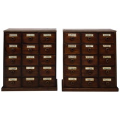 Antique Pair of English Apothecary Chests