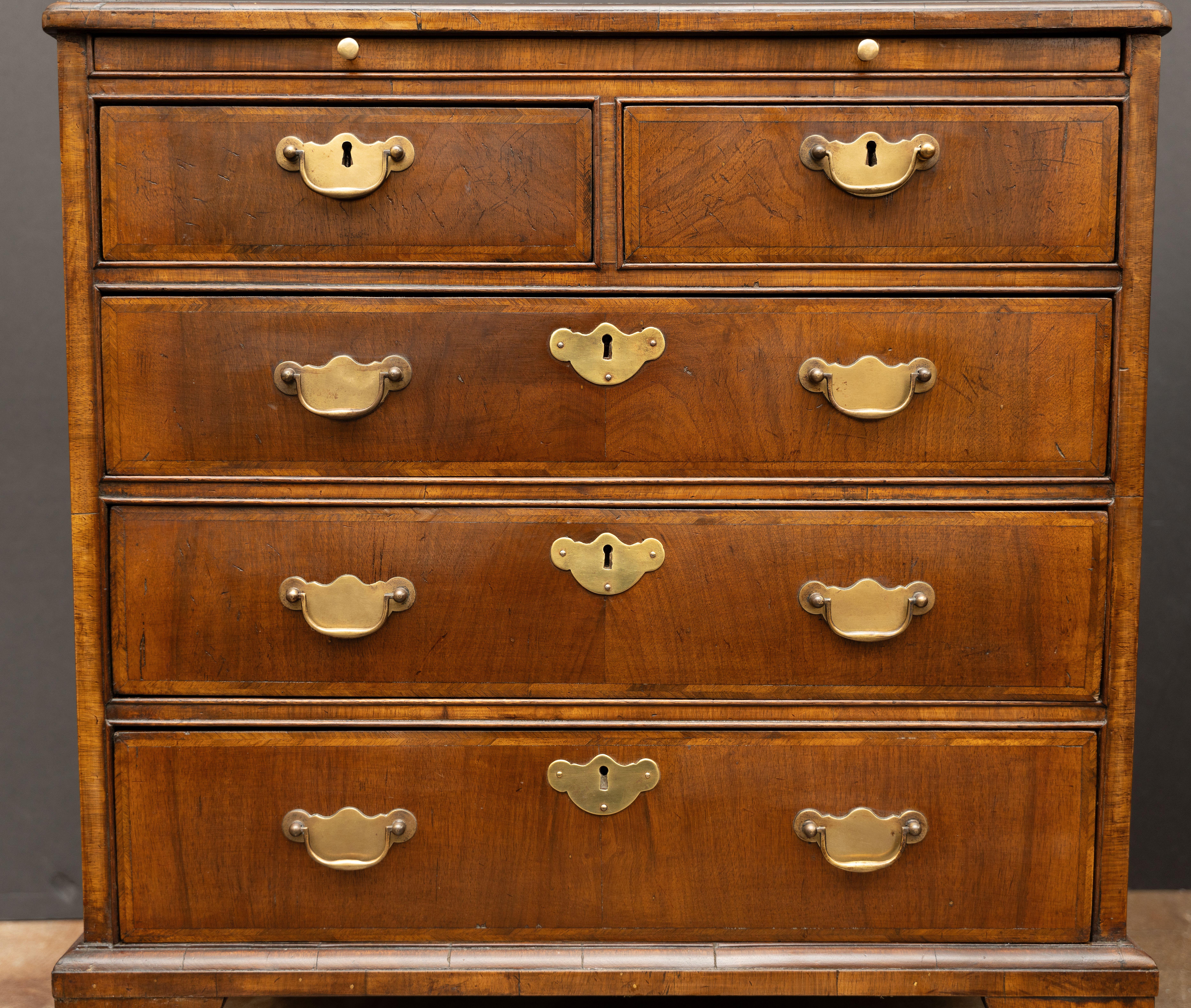 19th Century Pair of English Bachelor's Small Chests of Walnut For Sale
