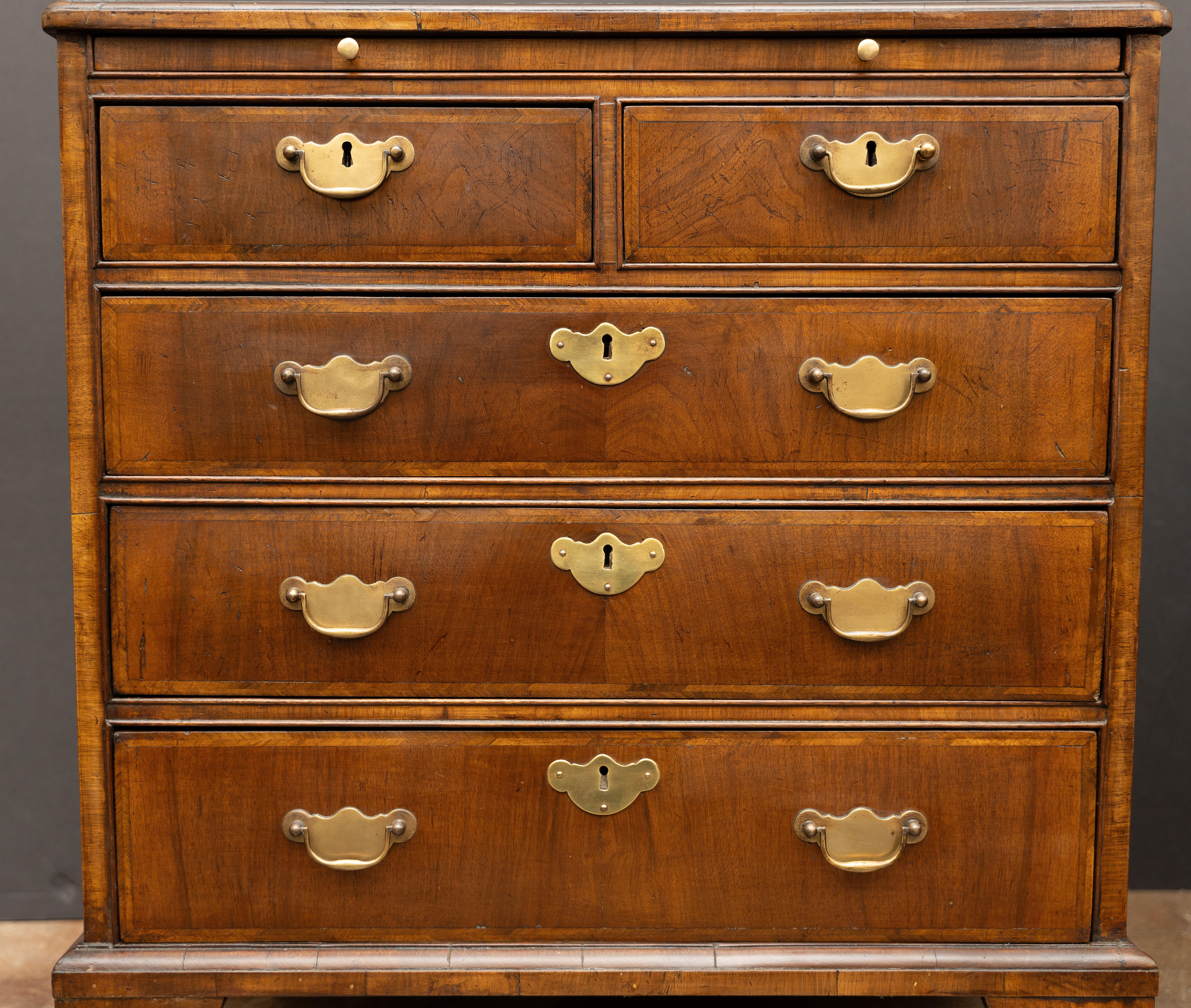 19th Century Pair of English Bachelor's Small Chests of Walnut