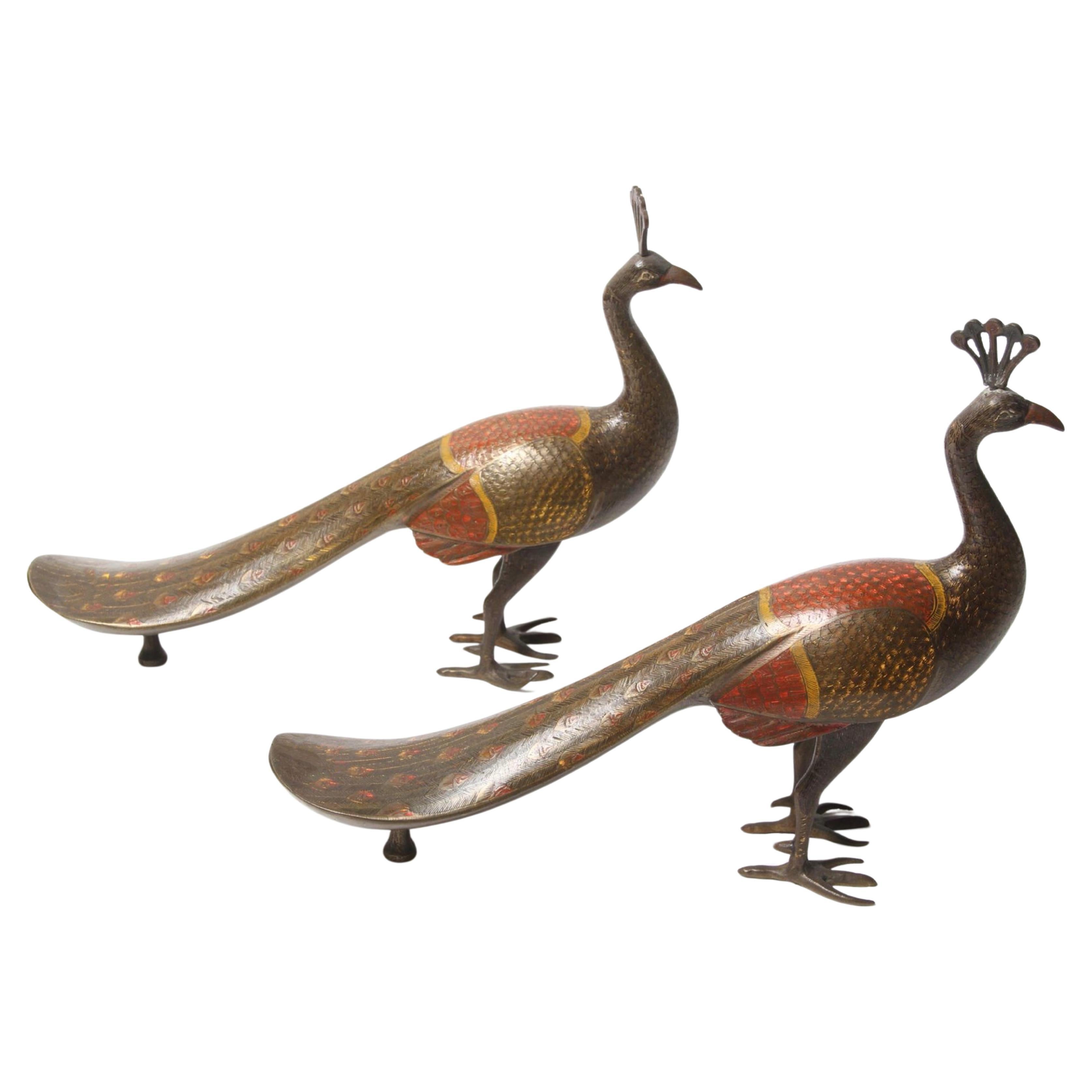 Pair of English Bronze Peacocks, early 20th century