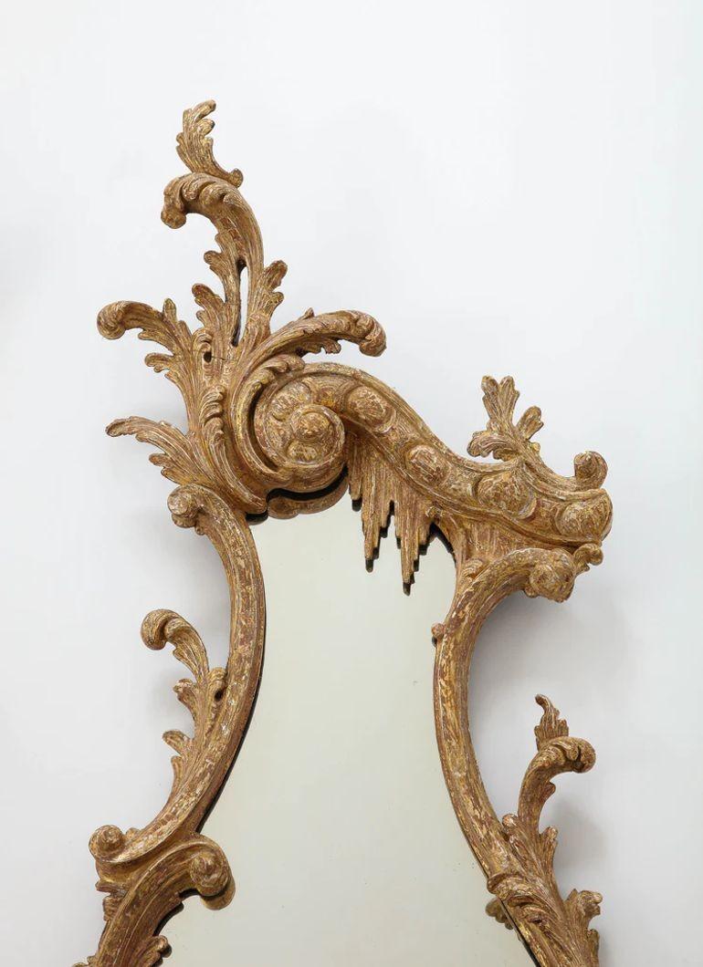 Rococo Paire de miroirs anglais sculptés en forme de cartouche rococo en vente
