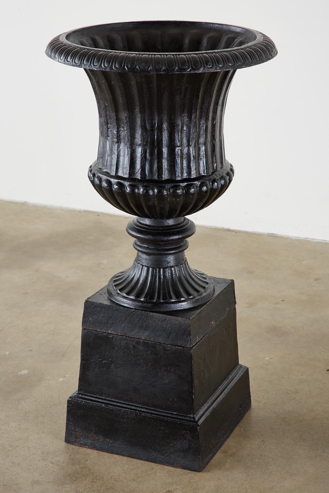 Dramatic pair of English cast iron garden urns on plinths made in the neoclassical taste. Large campana form urns with fluted bodies set on stepped bases. The urns have drain holes in the bottoms and a painted finish with an aged patina. From an