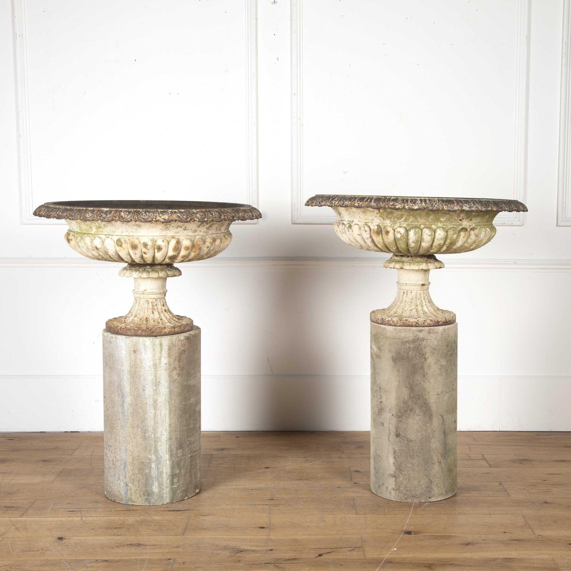 Attractive pair of 19th century cast iron urns on sandstone columns. 
The urns themselves have egg and dart decorations throughout, whilst the plinth bases feature very little decoration but have a great shape. 
These urns have weathered and aged