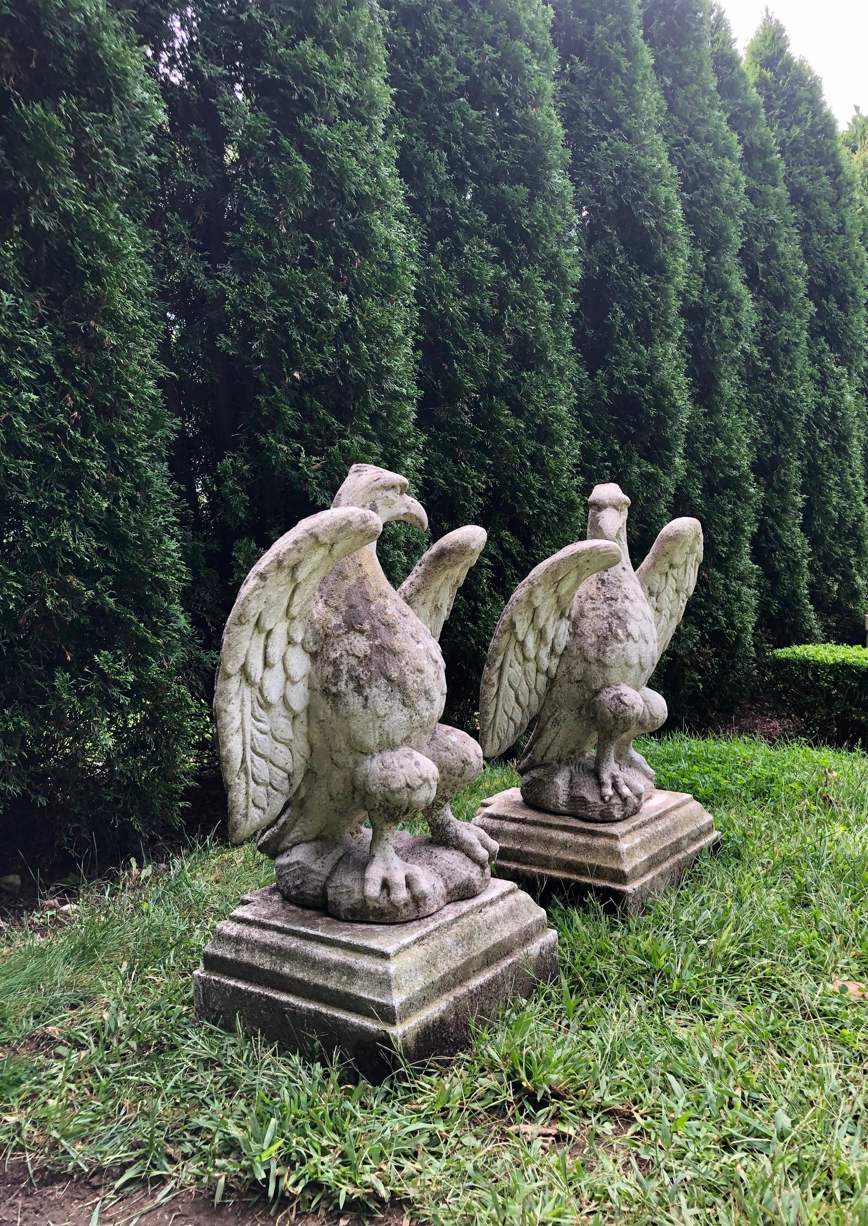 This lovely pair of opposing eagles is cast in the image of the original by Austin and Seeley, although they date to the 1970s-1980s. In perfect condition, they feature a nicely-weathered surface with some greening on the plinths. Perfect atop stone