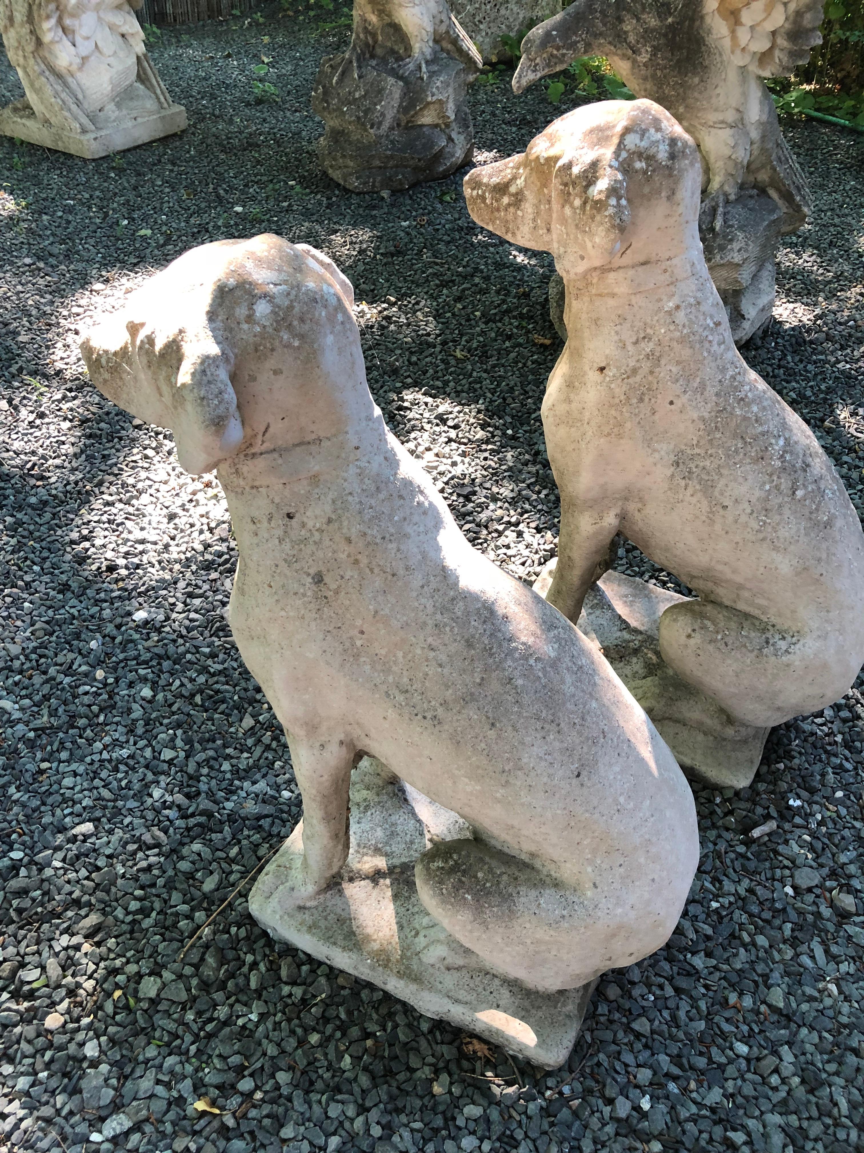 Pair of English Cast Stone Seated Hounds In Good Condition In Woodbury, CT