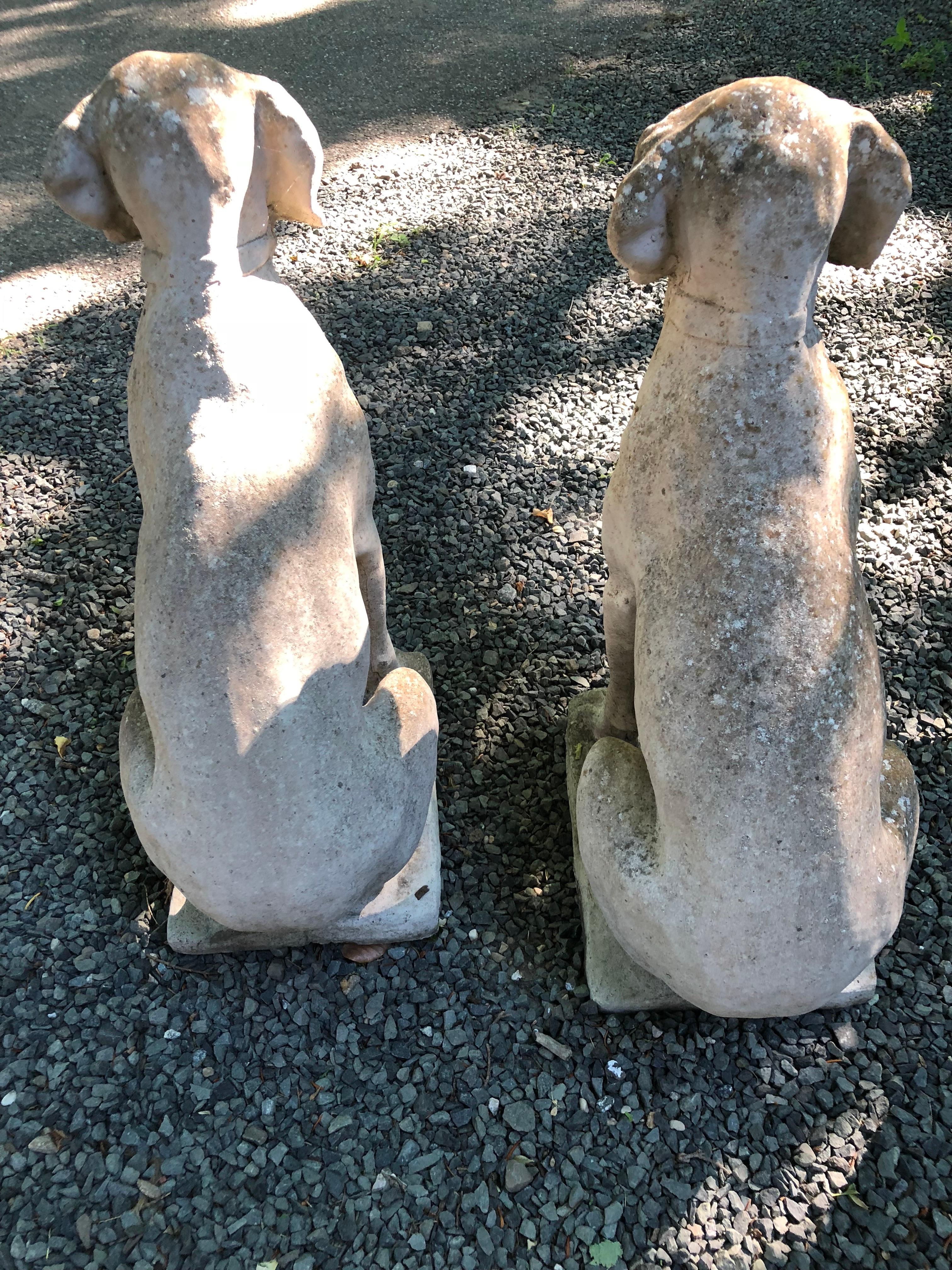 20th Century Pair of English Cast Stone Seated Hounds