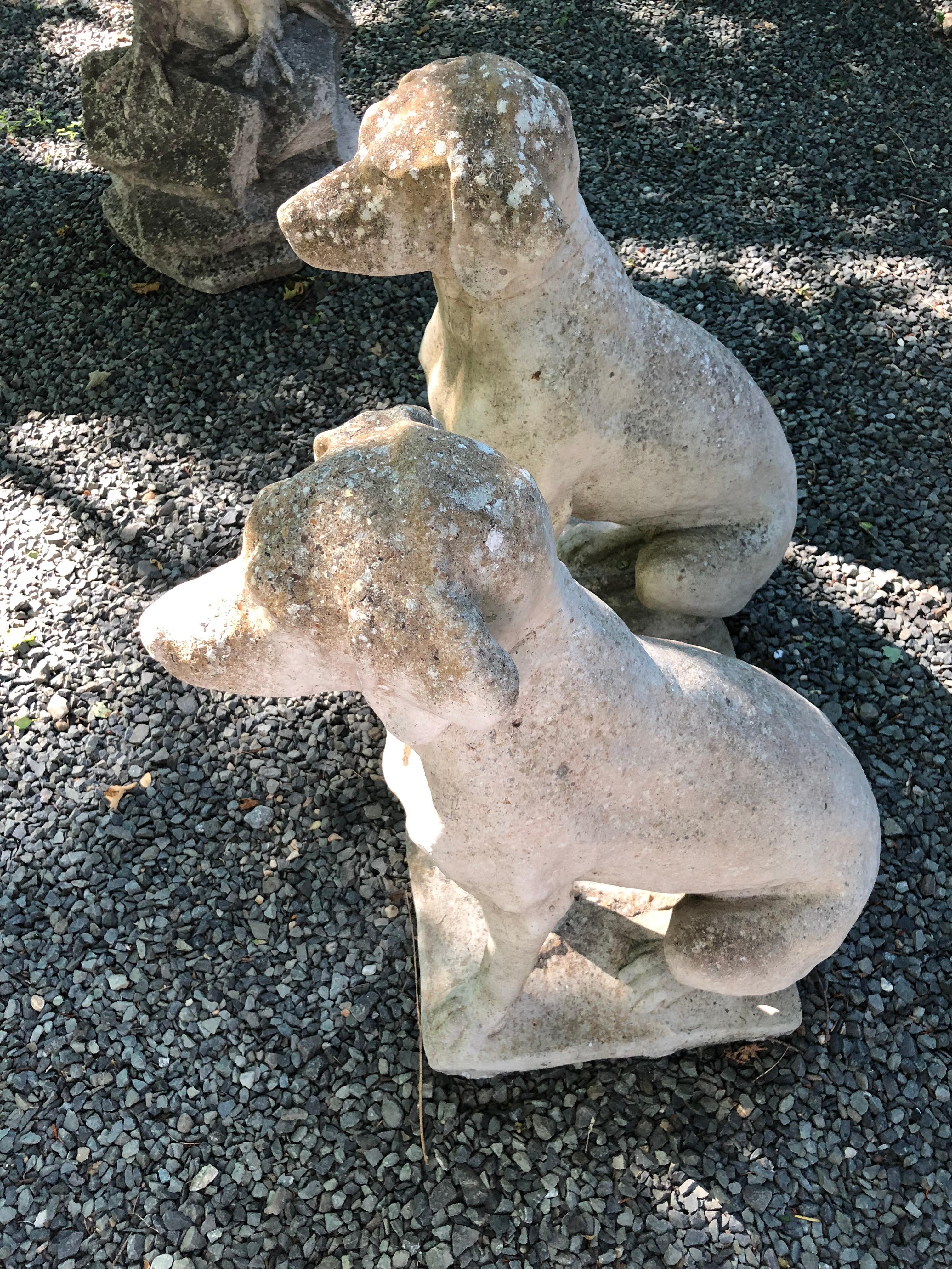 Pair of English Cast Stone Seated Hounds 1