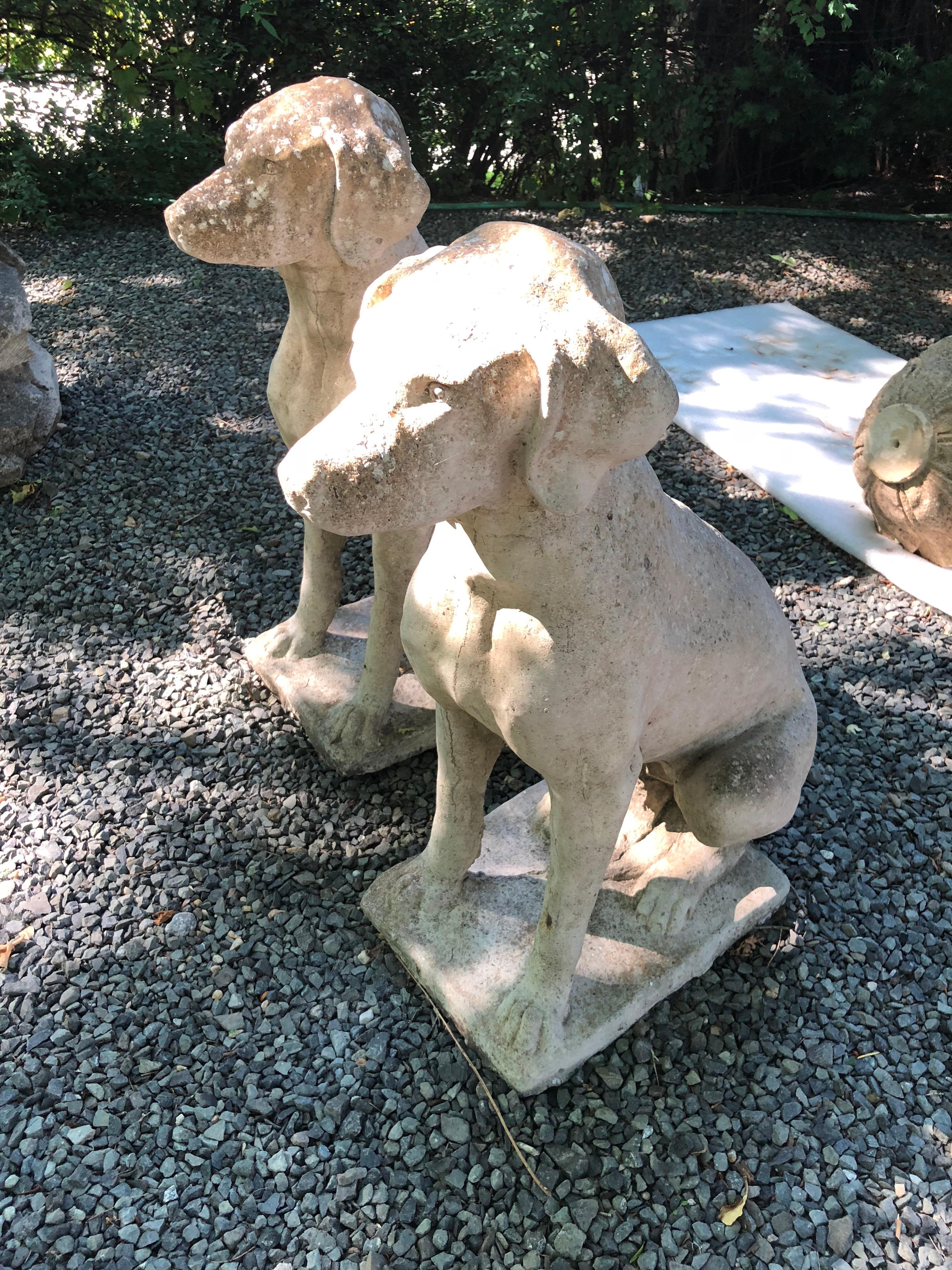 Pair of English Cast Stone Seated Hounds 2