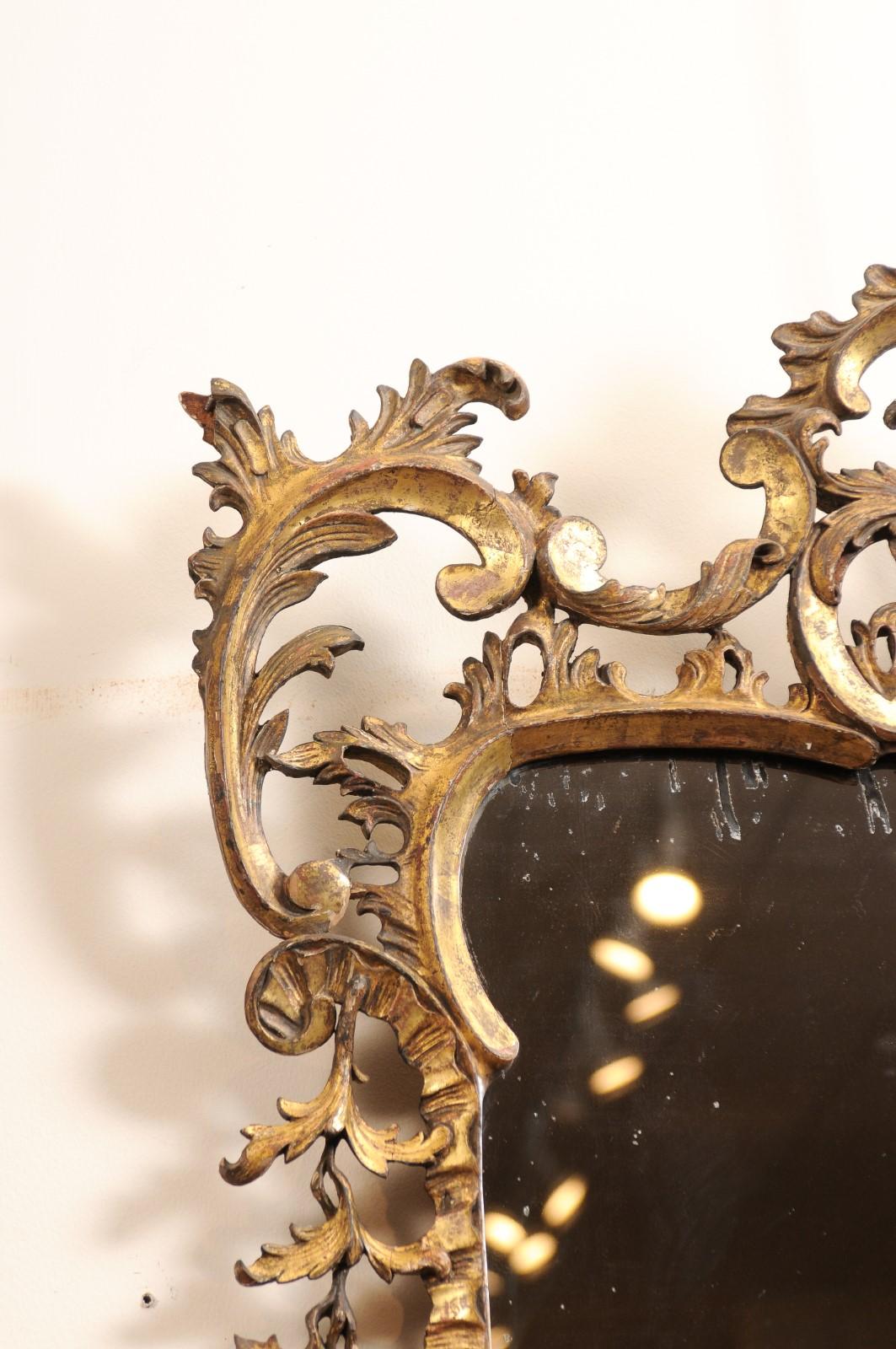 Coppia di specchi inglesi in legno dorato in stile Chippendale, inizio XX secolo in vendita 3