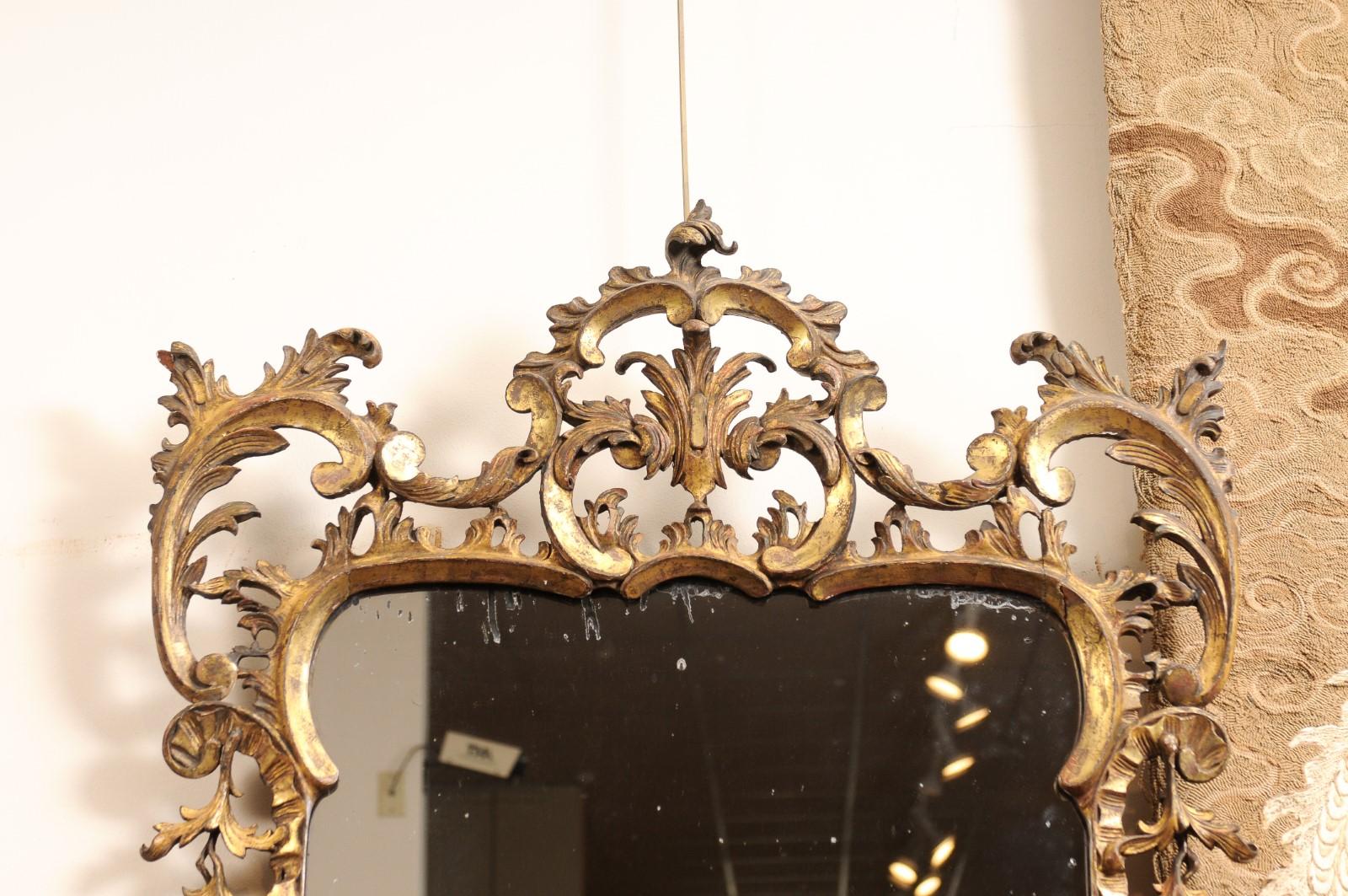 Coppia di specchi inglesi in legno dorato in stile Chippendale, inizio XX secolo in vendita 5