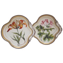 Pair of English Creamware Botanical Dishes