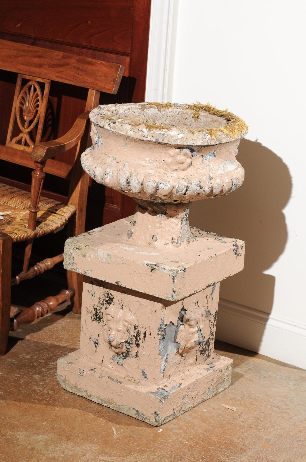 A pair of English Edwardian period reconstituted stone urns on pedestals from the early 20th century, with lion heads and distressed appearance. Born in England at the beginning of Edward VII's reign, this pair of urns attracts our attention with