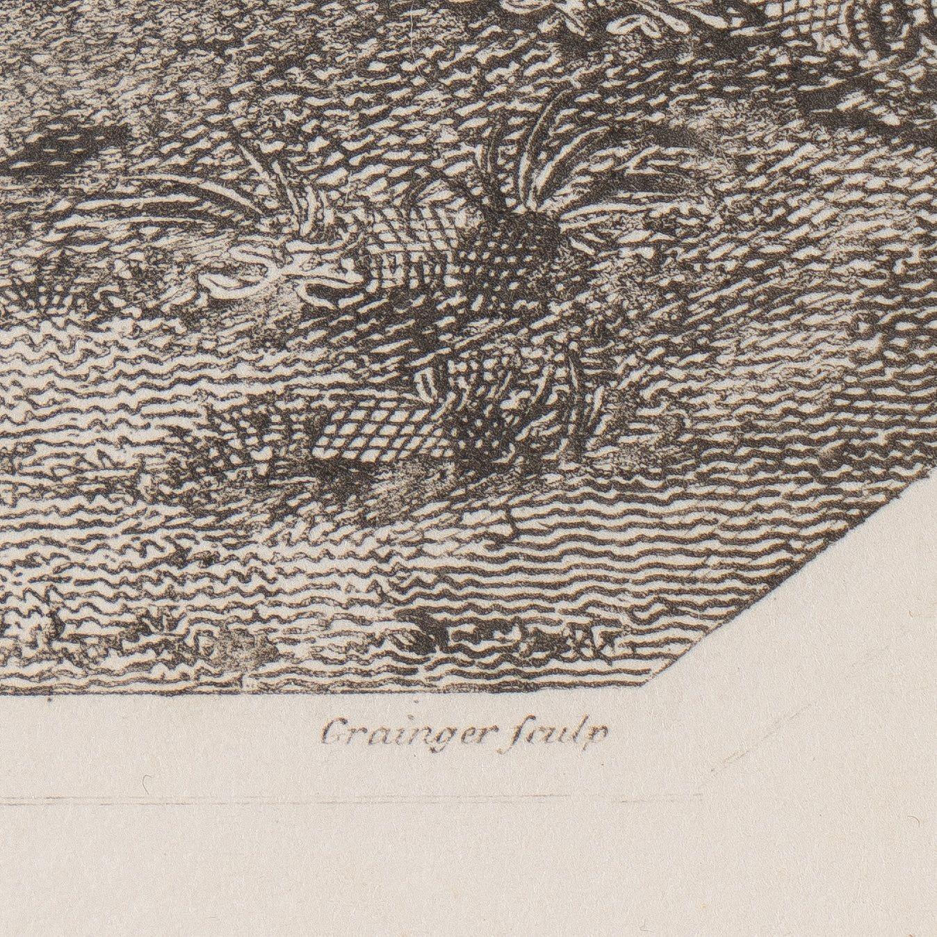 Ein Paar englische Radierungen und Gravuren von William Grainger (1802-04) (Frühes 19. Jahrhundert) im Angebot