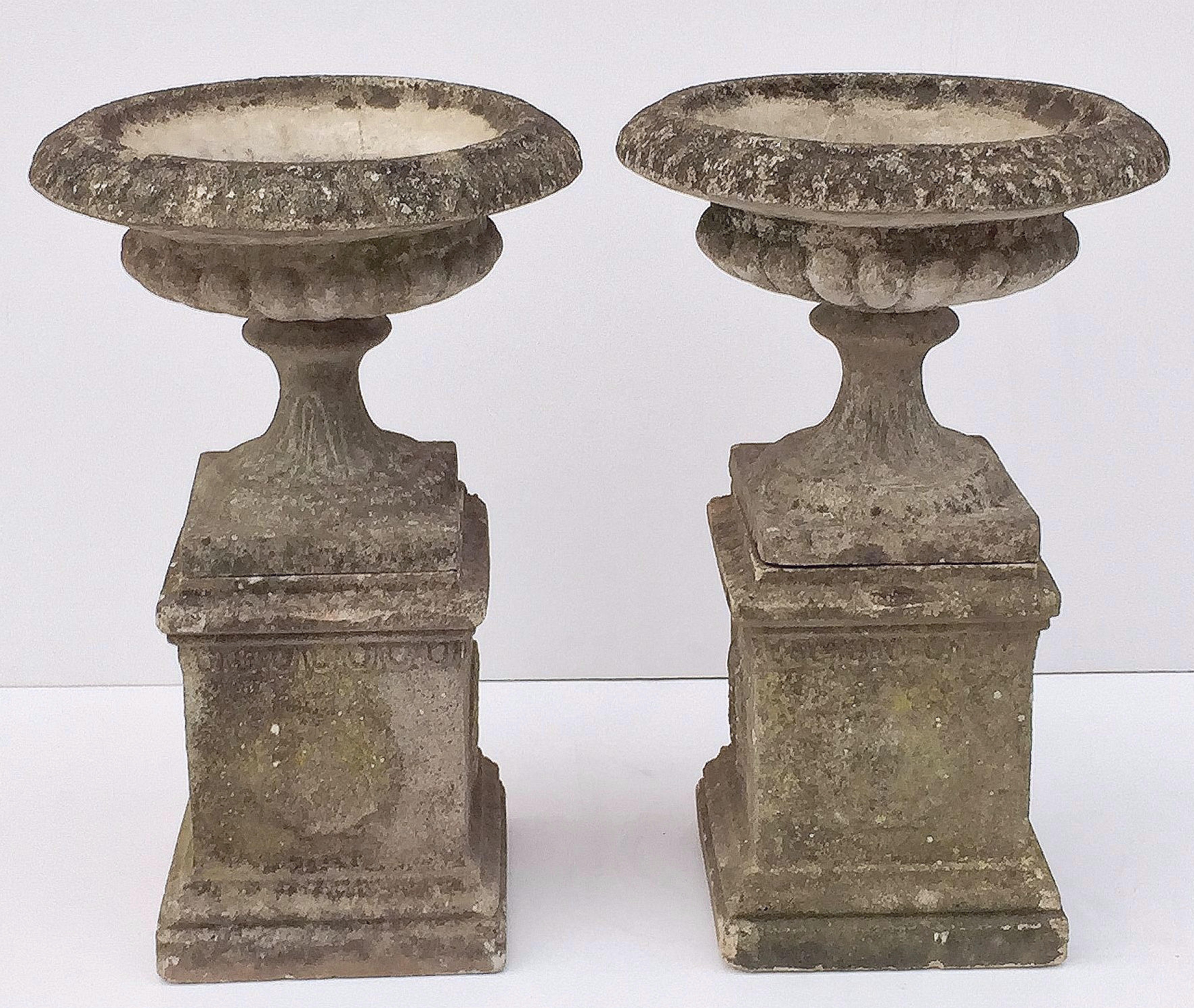 A fine pair of English garden urns (or planters) in the Classical style, of composition stone, on raised square plinths or stands.
Each urn featuring a rolled rim edge over a lobed bowl with fluted column and square base, each set upon a square