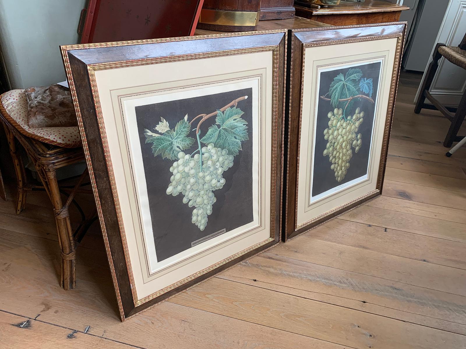 Pair of English Hand Colored Aquatint Engravings of Grapes by George Brookshaw In Good Condition For Sale In Atlanta, GA