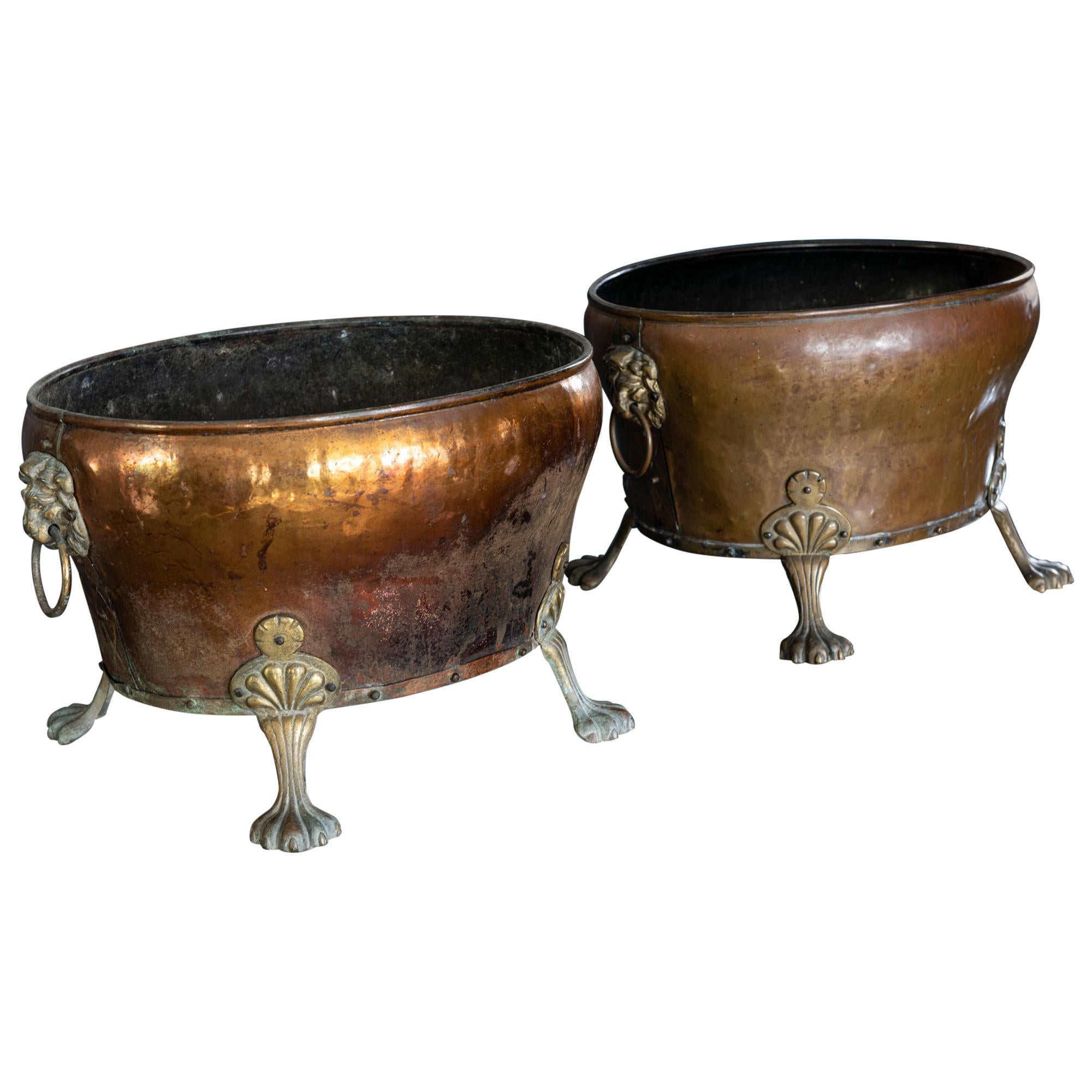 Pair of English Late 19th Century Copper & Brass Lion Paw Coal Buckets/Planters