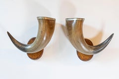 Pair of English Late 19th Century Horns with Silver Rim, Mounted on Wooden Plate