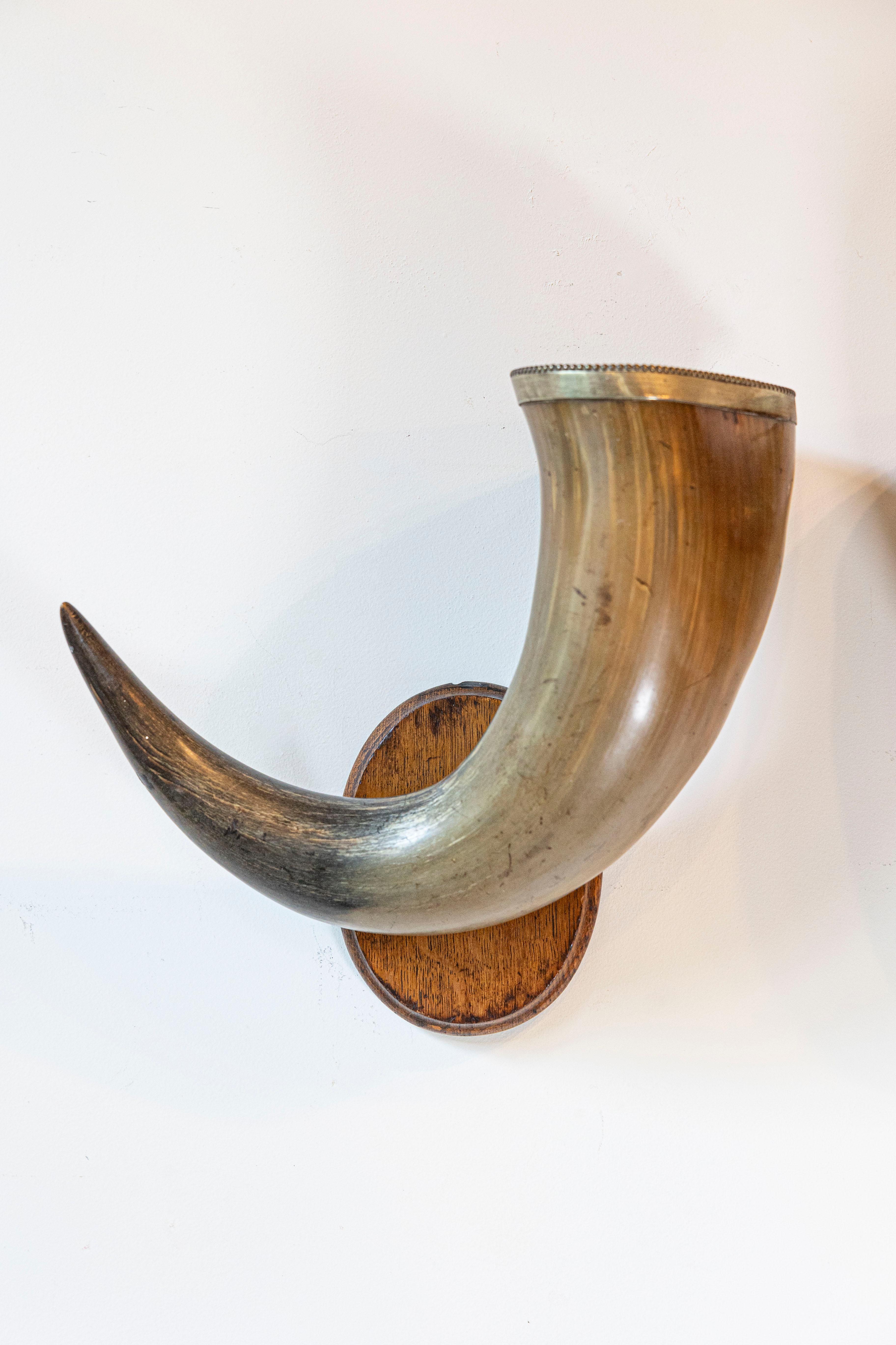 Pair of English Late 19th Century Horns with Silver Rim, Mounted on Wooden Plate In Good Condition For Sale In Atlanta, GA