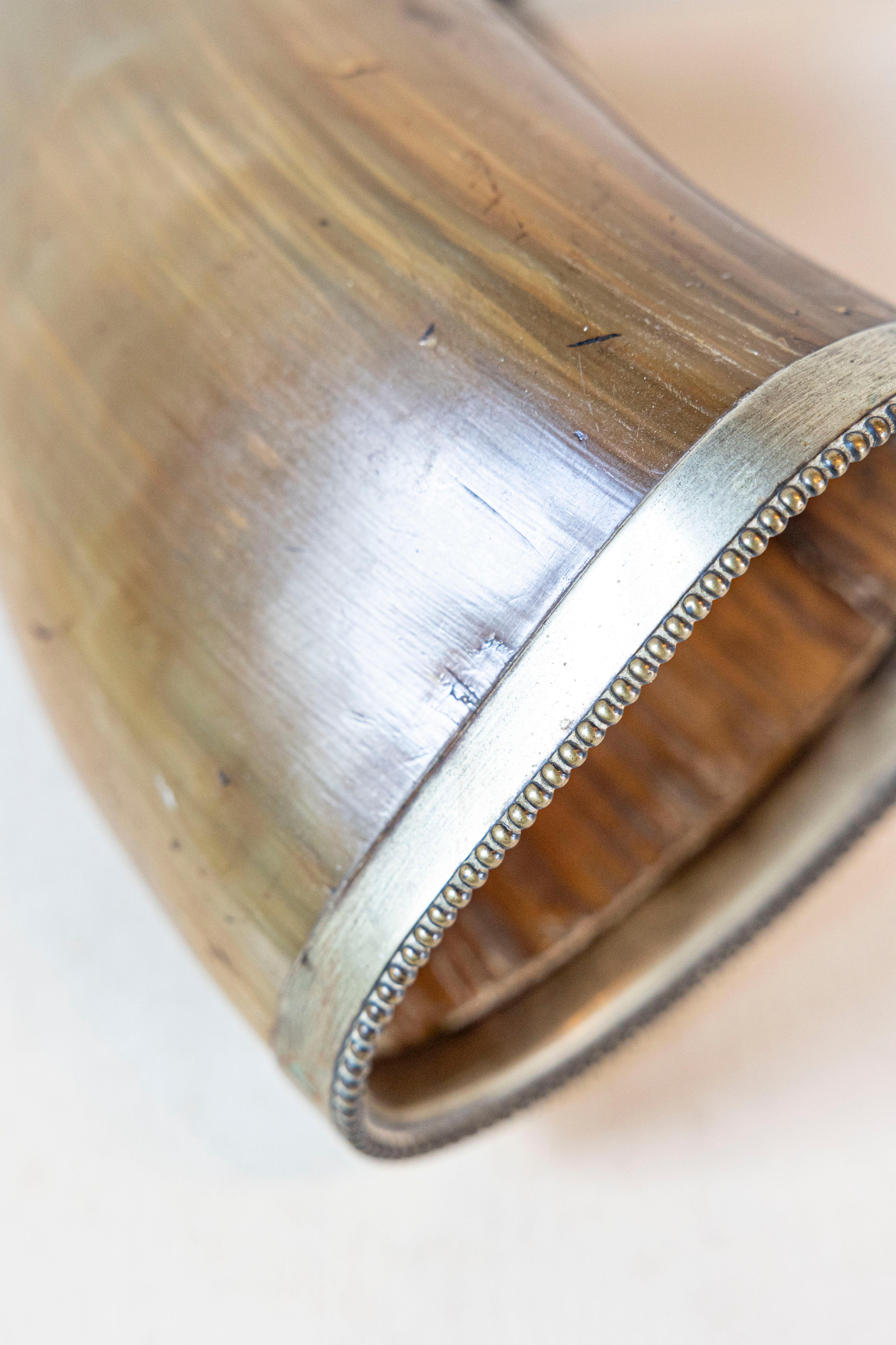 Pair of English Late 19th Century Horns with Silver Rim, Mounted on Wooden Plate For Sale 3
