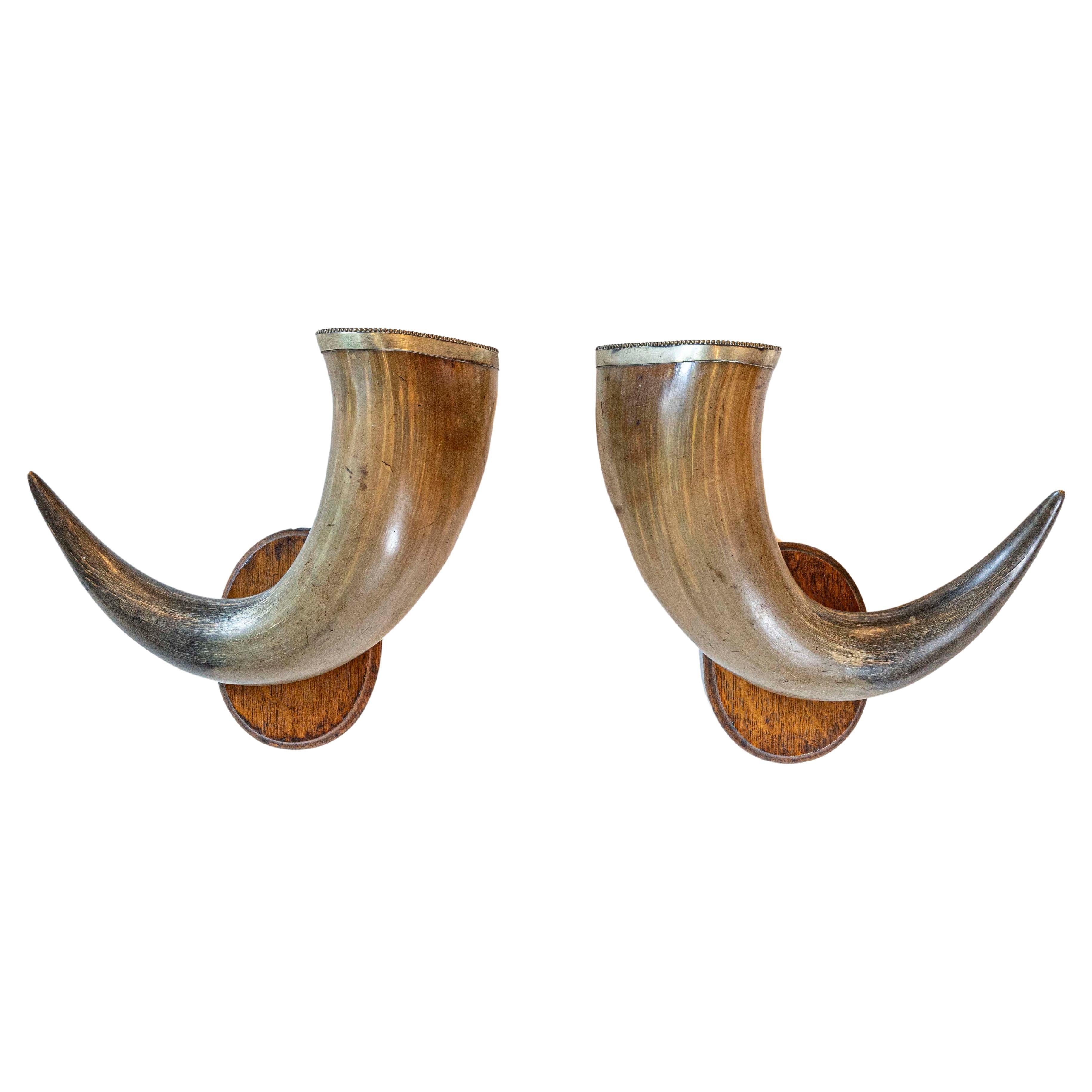 Pair of English Late 19th Century Horns with Silver Rim, Mounted on Wooden Plate