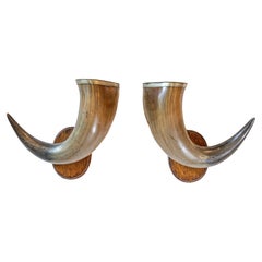 Pair of English Late 19th Century Horns with Silver Rim, Mounted on Wooden Plate