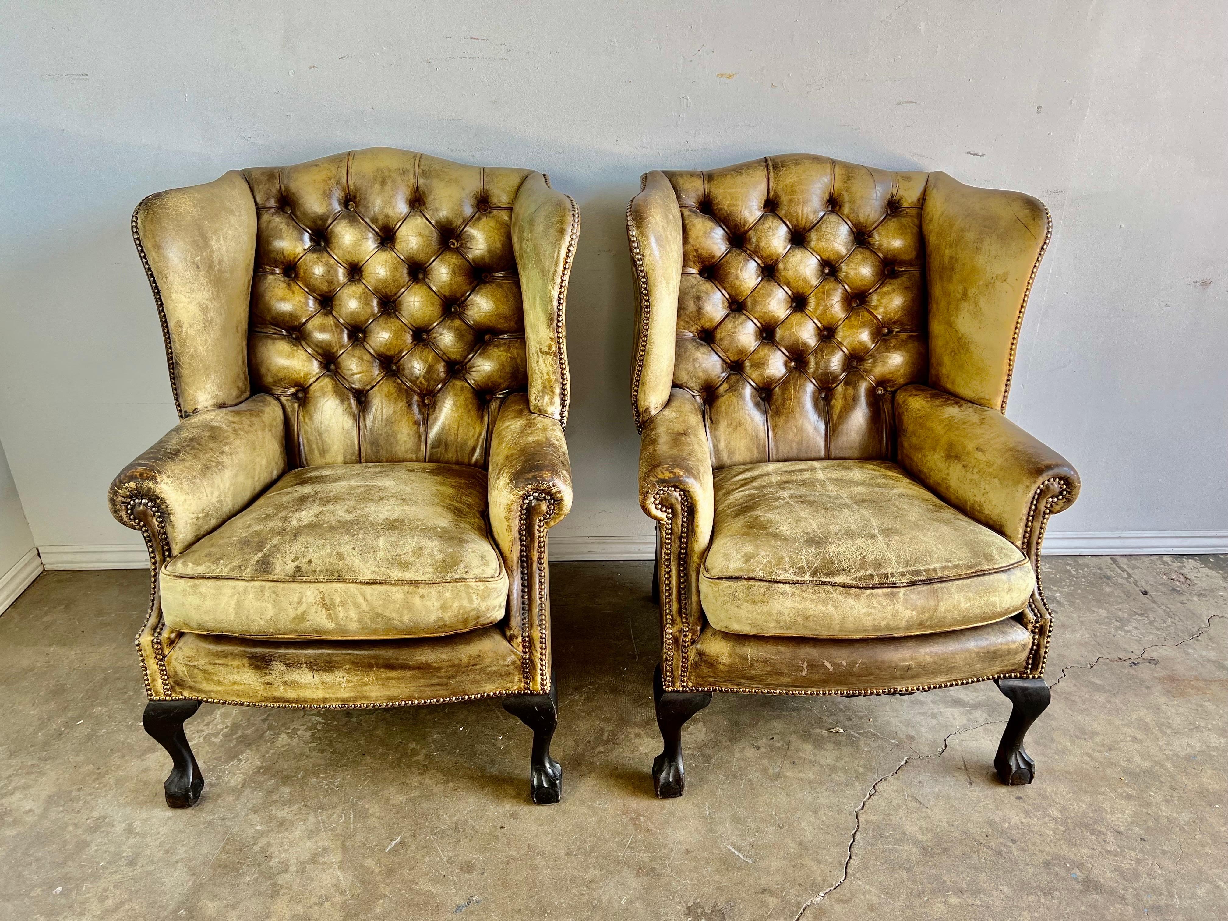 Pair of English Chippendale Leather Tufted Wingback armchairs. The chairs stand on four ball & claw feet. The leather is beautifully worn but has no holes or tears.