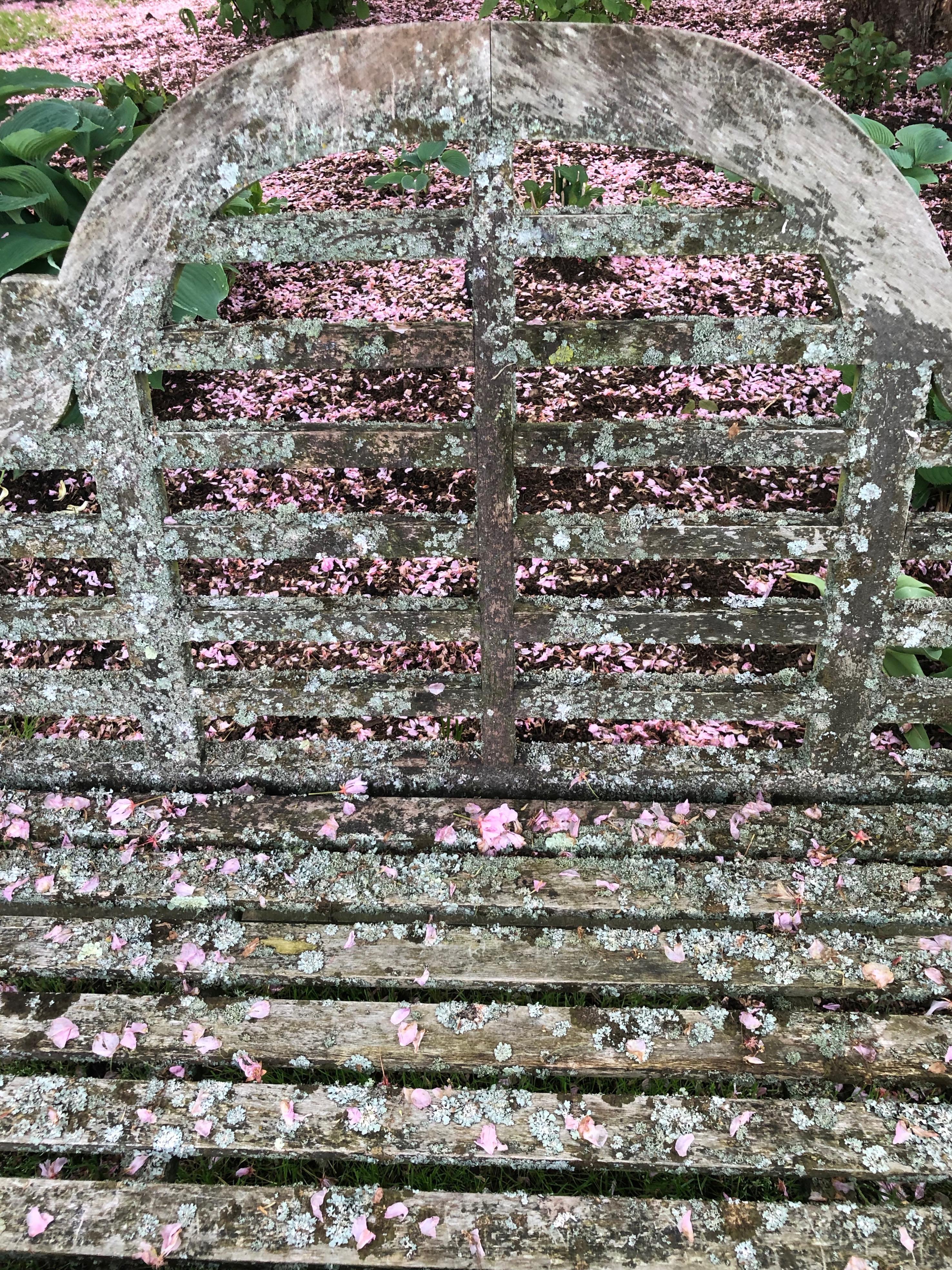 Pair of English Lichen-Encrusted Lutyens-Style Benches in Teak 5