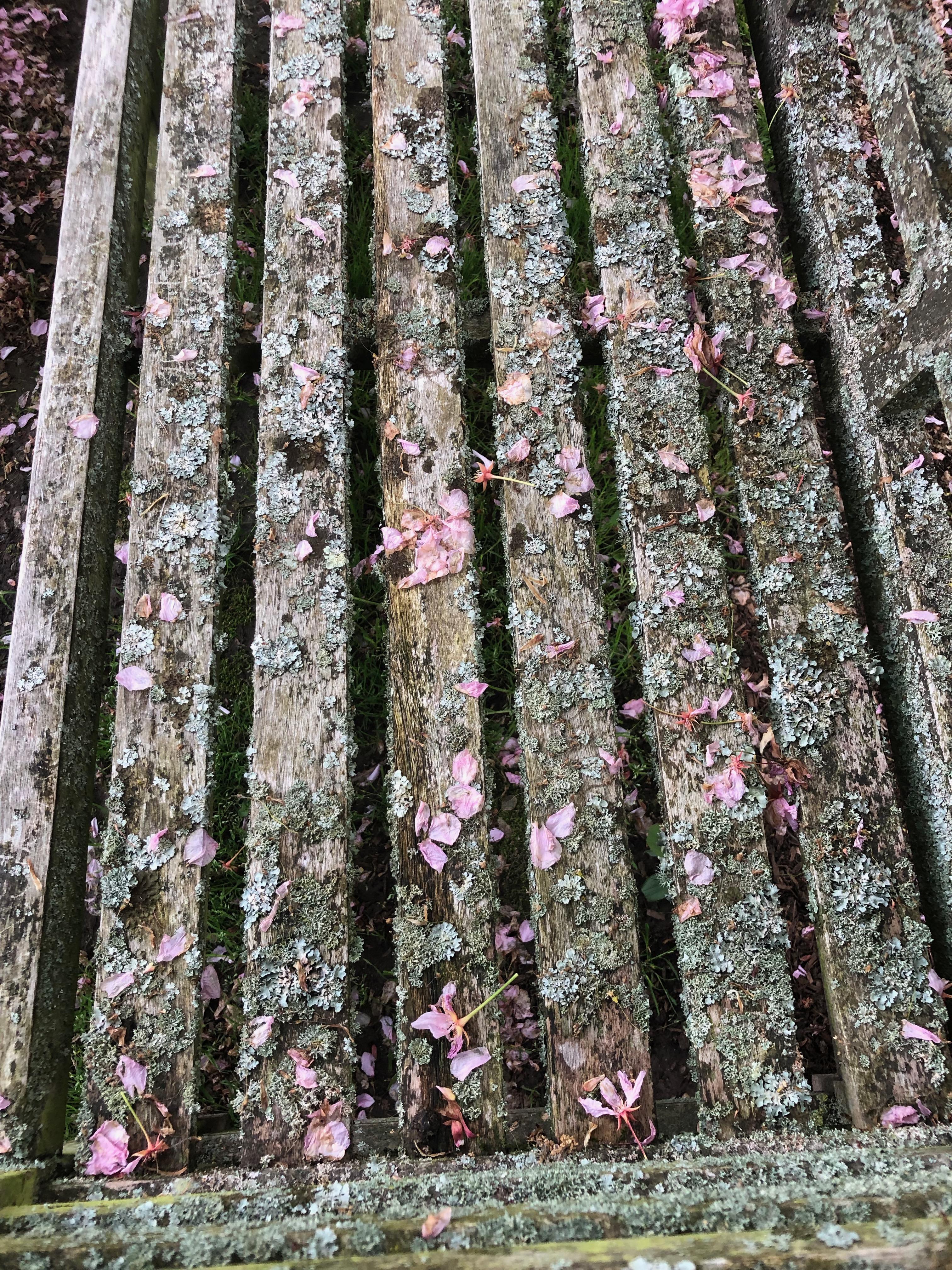 Pair of English Lichen-Encrusted Lutyens-Style Benches in Teak 2
