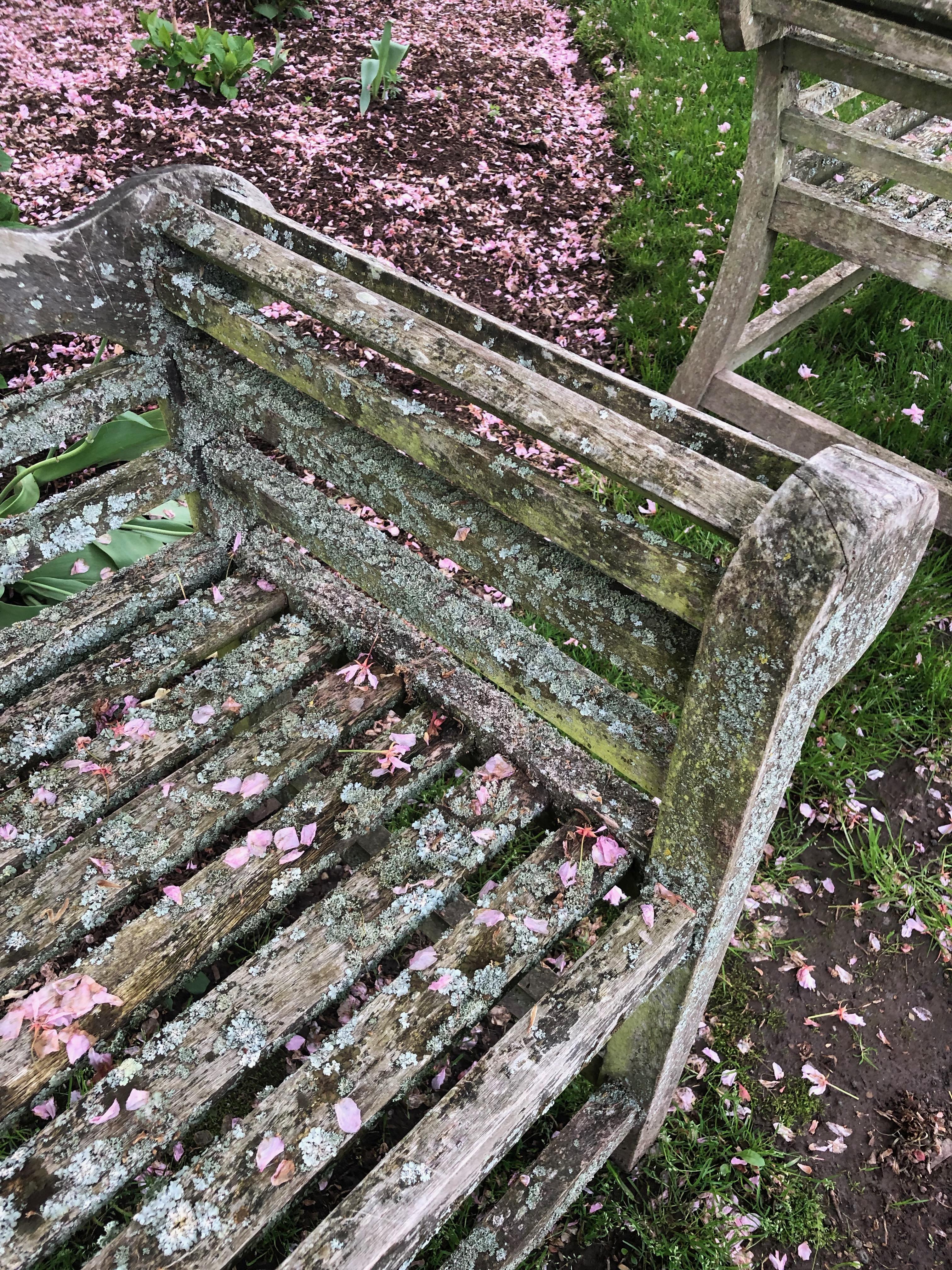 Pair of English Lichen-Encrusted Lutyens-Style Benches in Teak 3