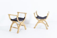 Pair of English Mahogany 19thc Polychrome Painted ‘X’ Frame Stools