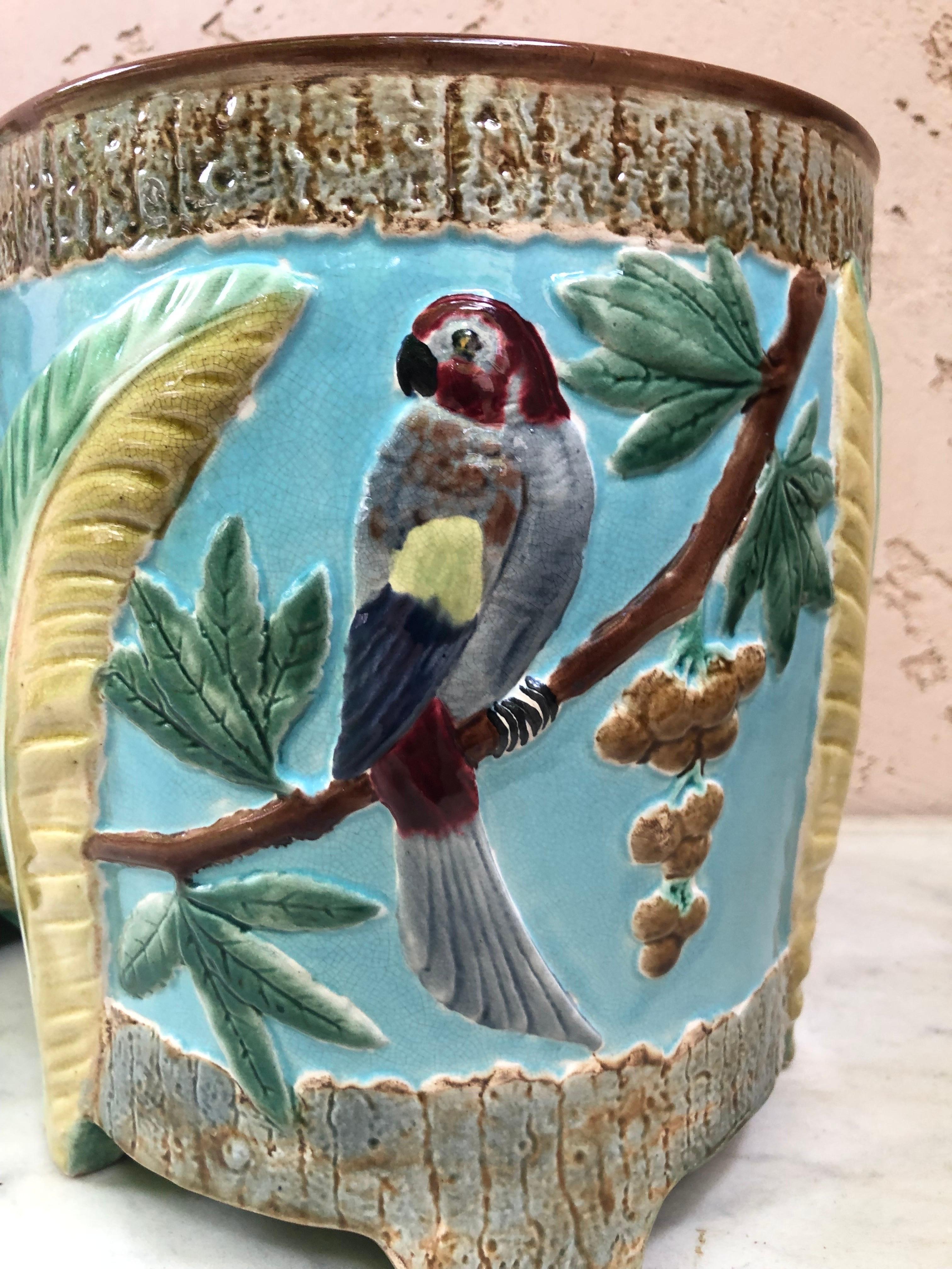Victorien Paire de pots à caches en majolique anglaise avec perroquet Joseph Holdcroft Circa 1880