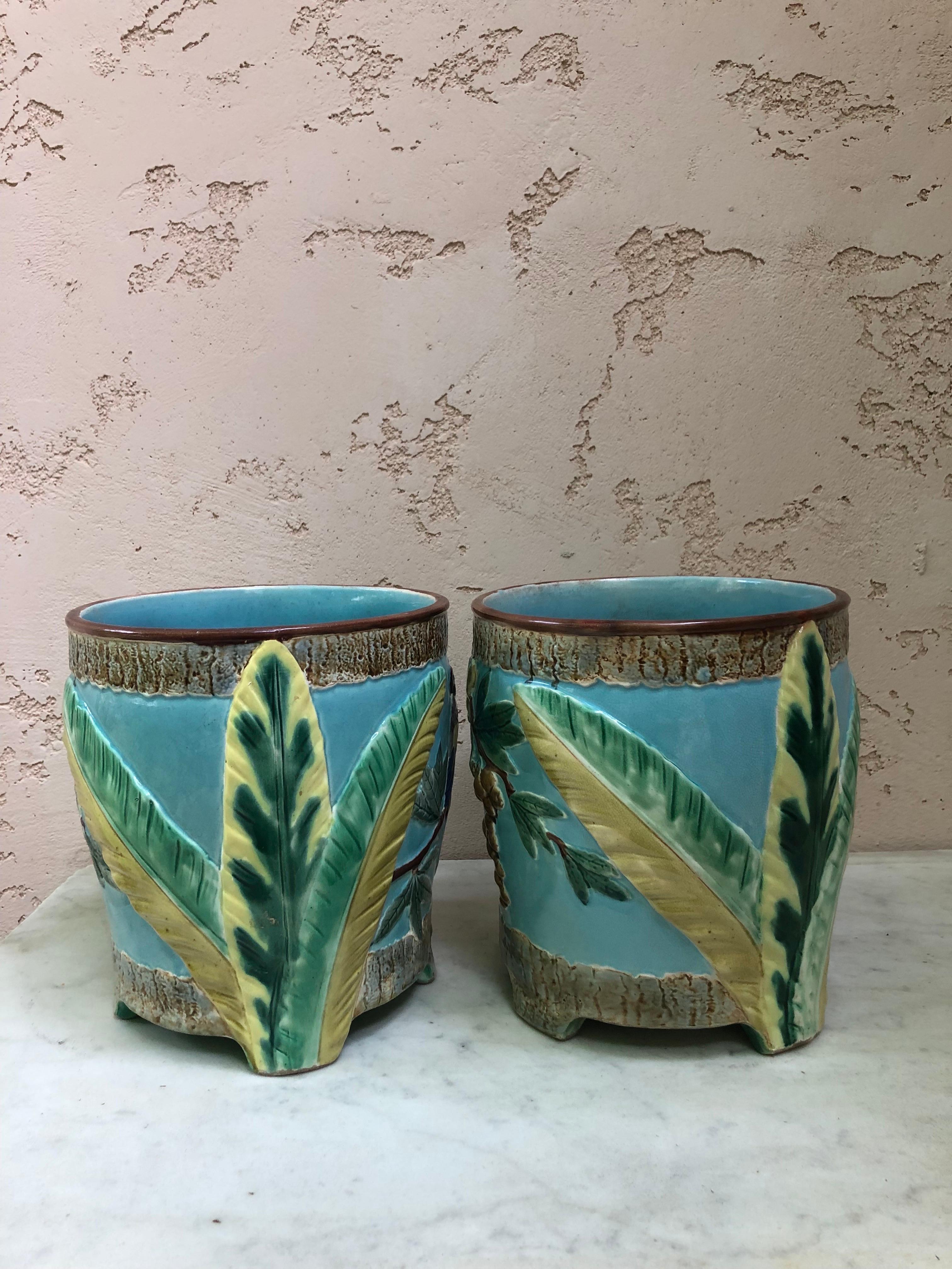 Paire de cache-pots en majolique anglaise avec un perroquet et des feuilles de bananier signés Joseph Holdcroft vers 1880.