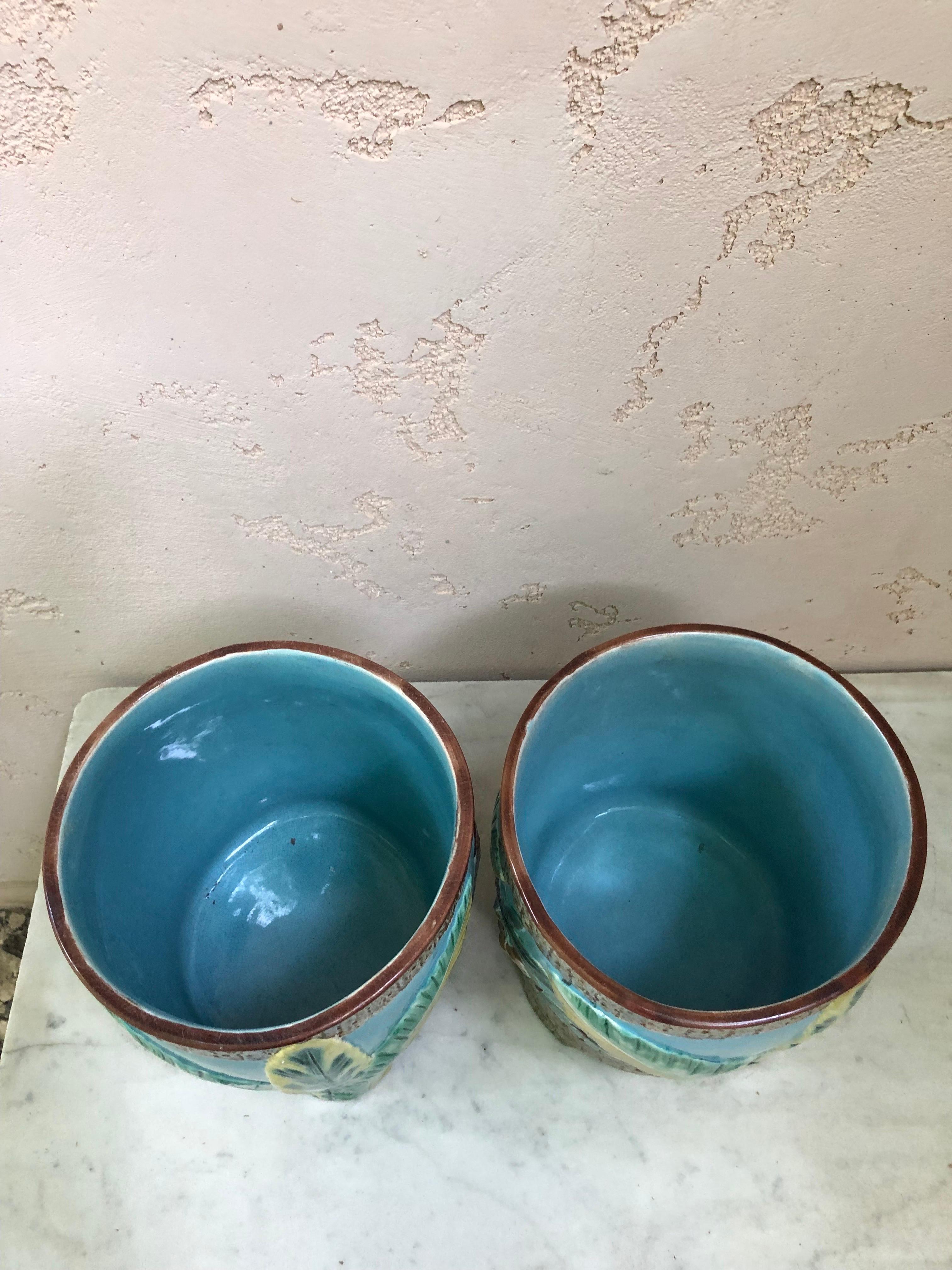 Céramique Paire de pots à caches en majolique anglaise avec perroquet Joseph Holdcroft Circa 1880