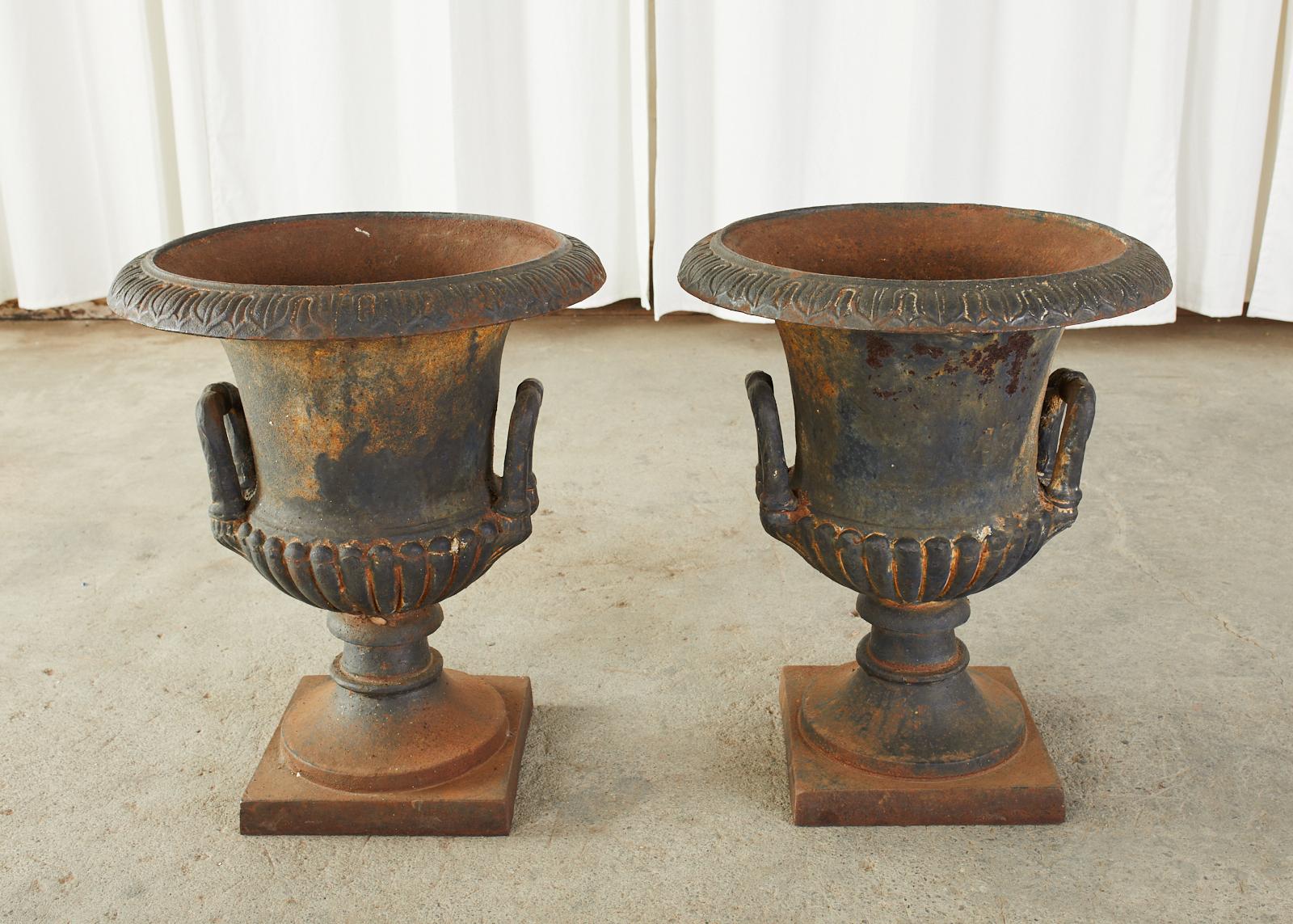Pair of English Neoclassical Style Cast Iron Garden Urns 8