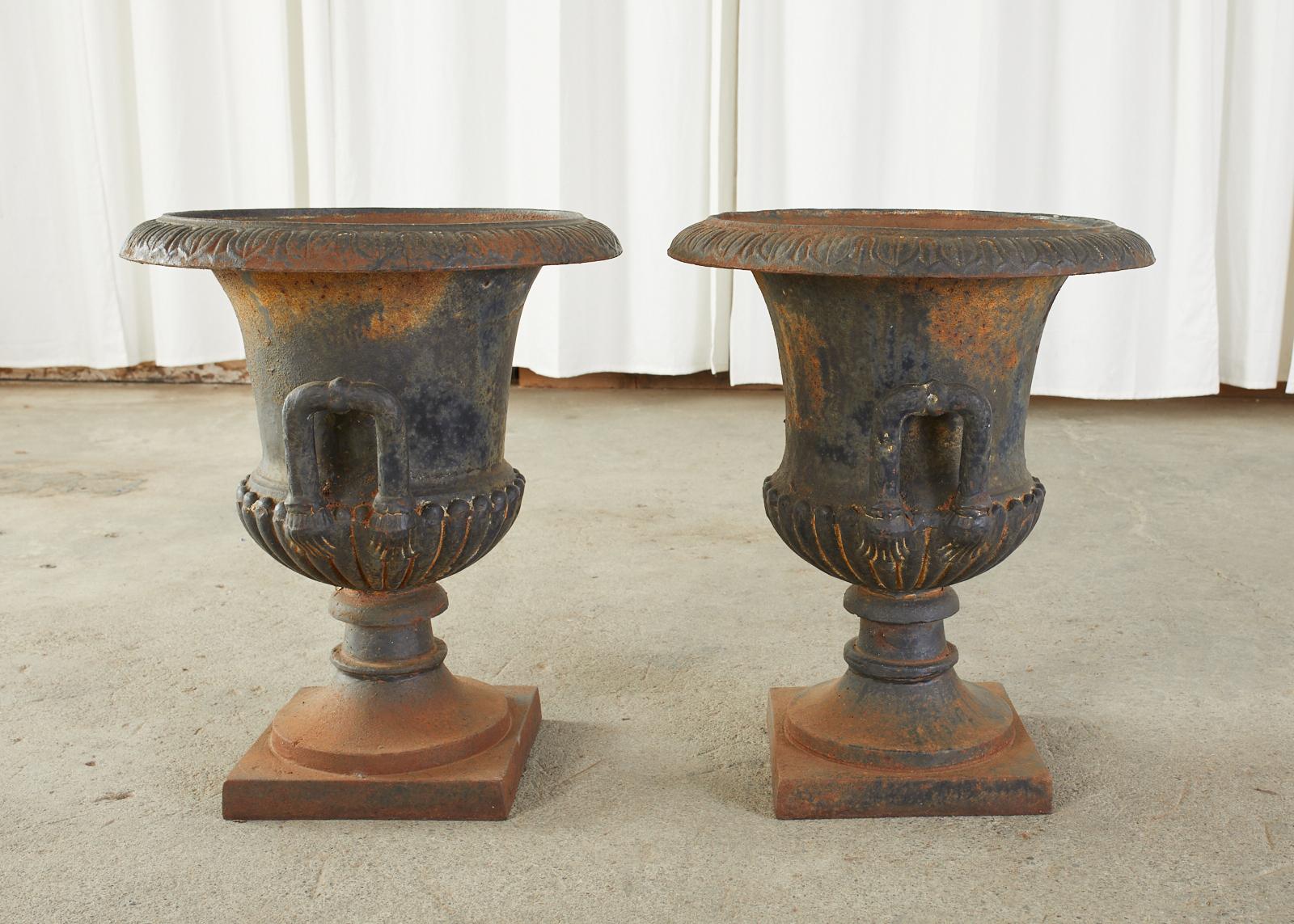 20th Century Pair of English Neoclassical Style Cast Iron Garden Urns