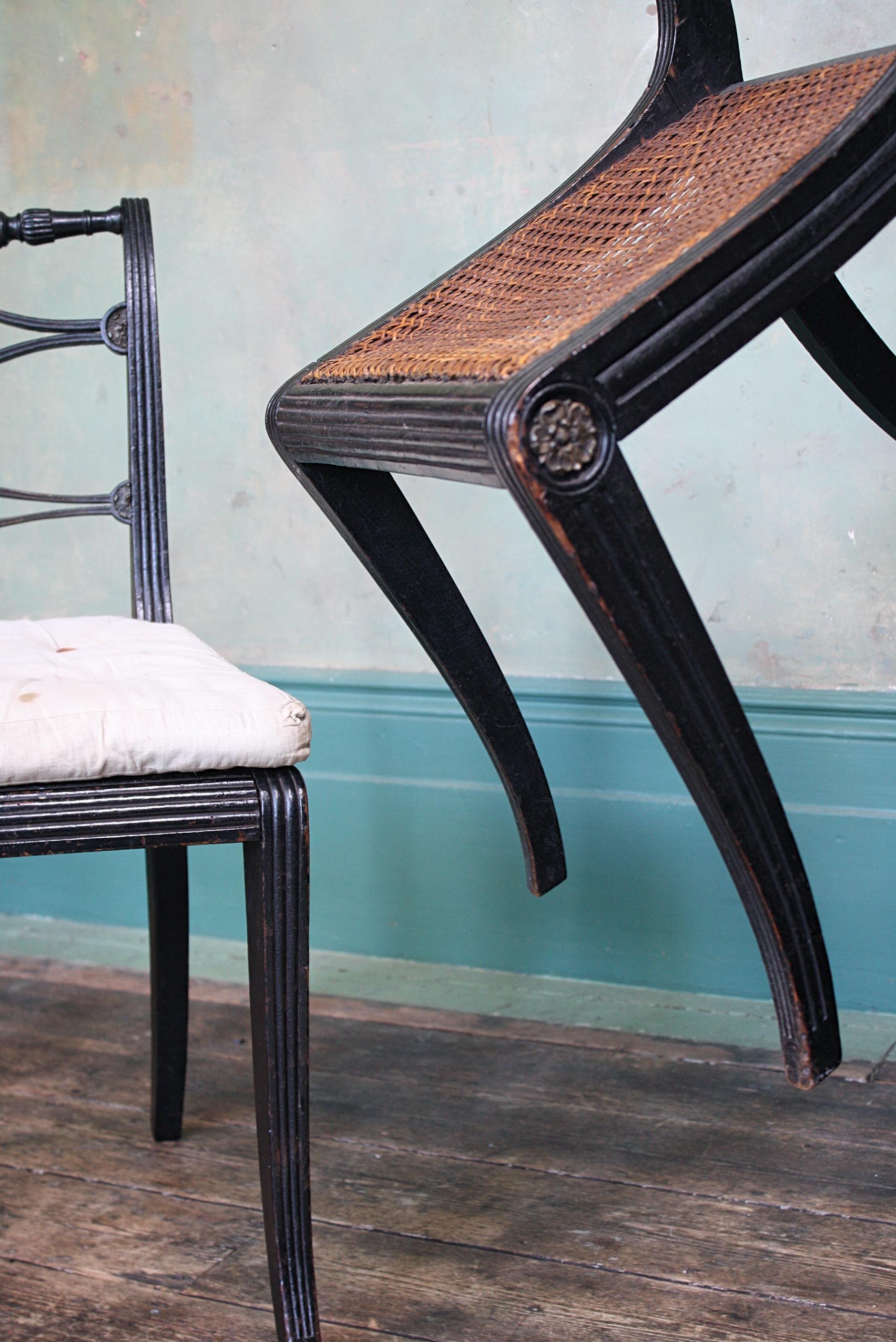 Pair of English Regency Ebonised Caned Klismos Side Chairs with Original Squabs 6