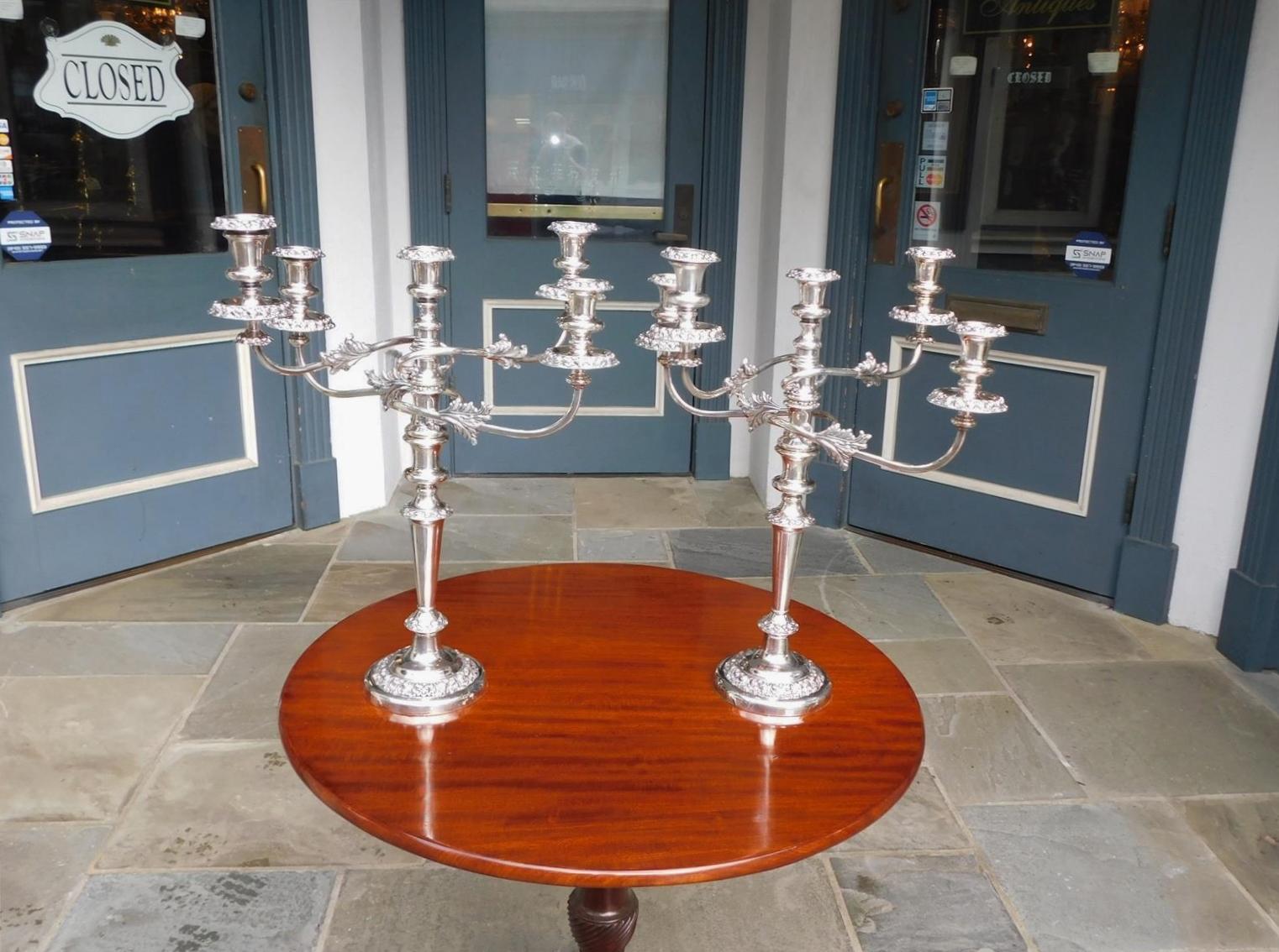 A complete pair of English Regency Sheffield five-light candelabras with removable intertwined scrolled arms, original hand chased removable foliage motif bobeches, bulbous floral tapered columns, and resting on foliage motif circular bases.