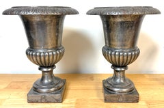 Pair of English Regency Silvered Cast Iron Egg-and-Dart Urns, Early 19th Century