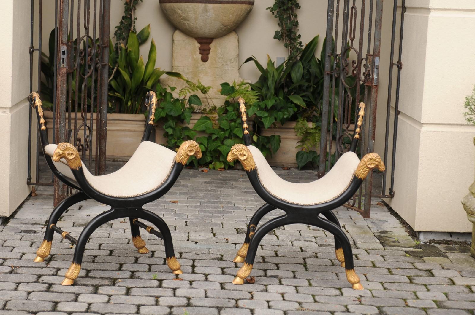 A pair of English Regency style ebonized and parcel-gilt Curule stools from the late 19th century with rams heads, hoofed feet, scrolling back supports and new upholstery. Born in the last quarter of the 19th century, each of this stunning pair of