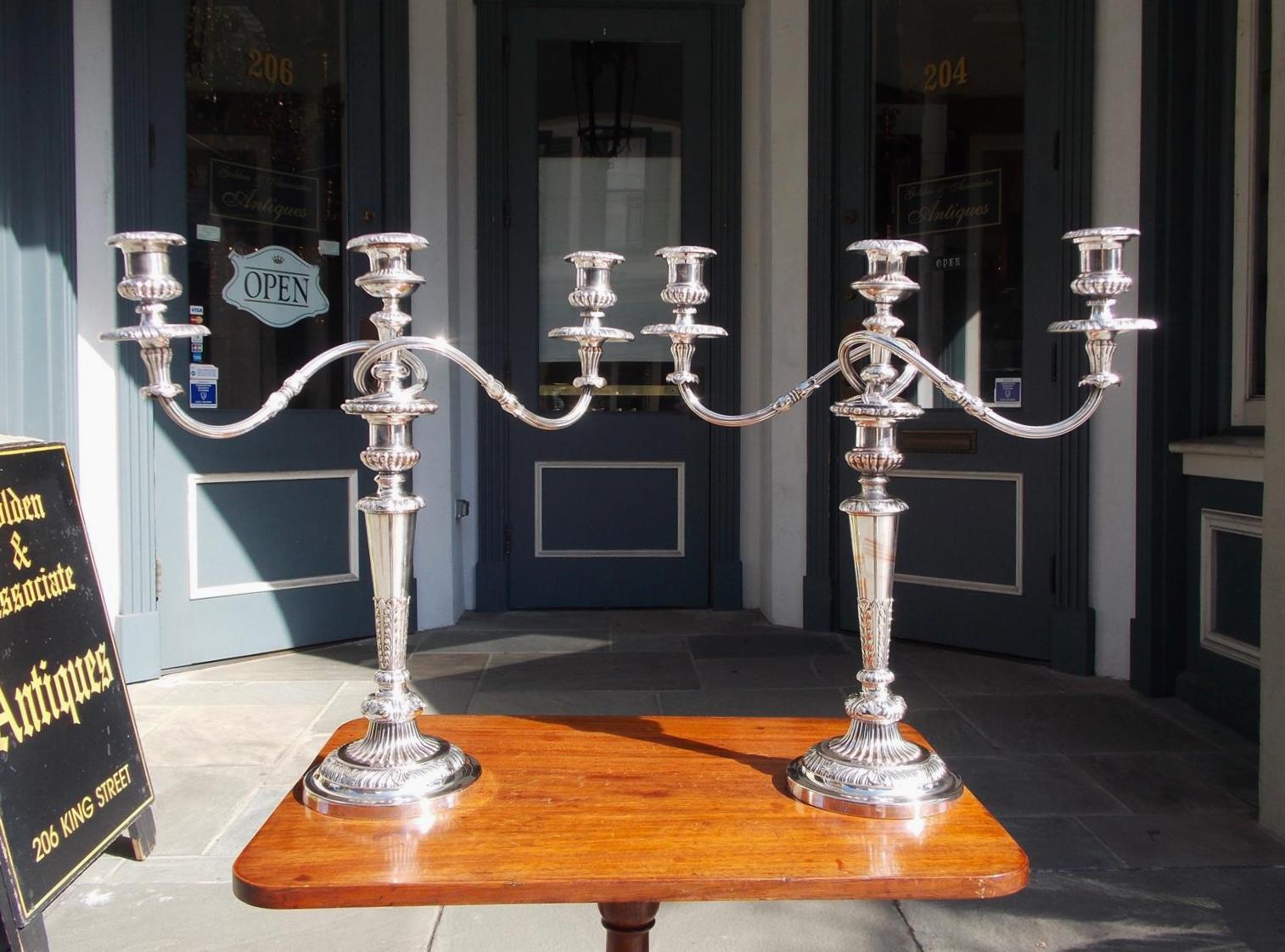 A complete pair of English Regency Sheffield three-light candelabras with removable intertwined scrolled arms, original hand chased removable shell motif bobeches, beaded floral tapered columns, and resting on fluted gadrooned shell motif circular
