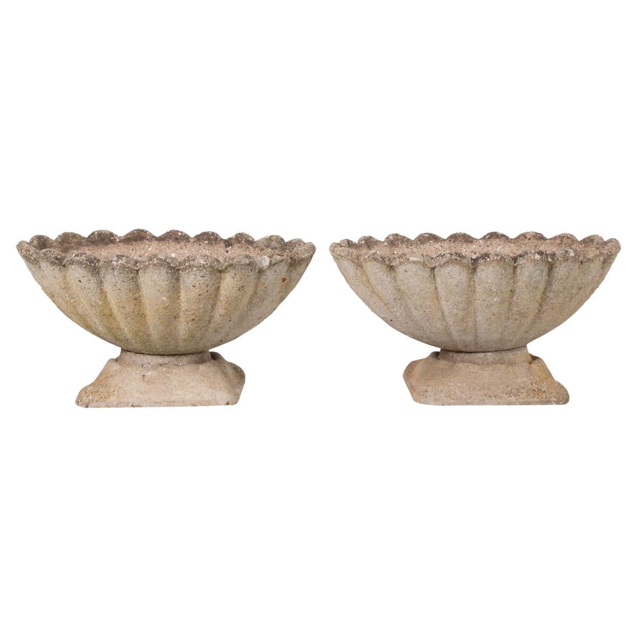 Pair of English Scalloped Urns
