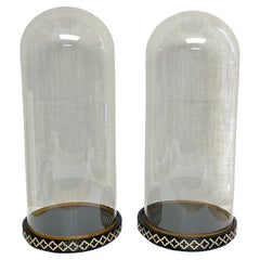 Pair of English Victorian Glass Display Domes/ Cloches with Stands