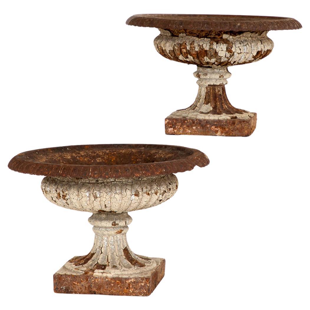 Paire d'urnes Tazza victoriennes anglaises