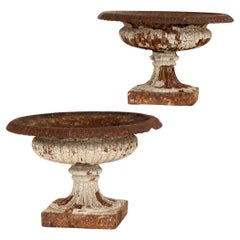 Pair of English Victorian Tazza Urns