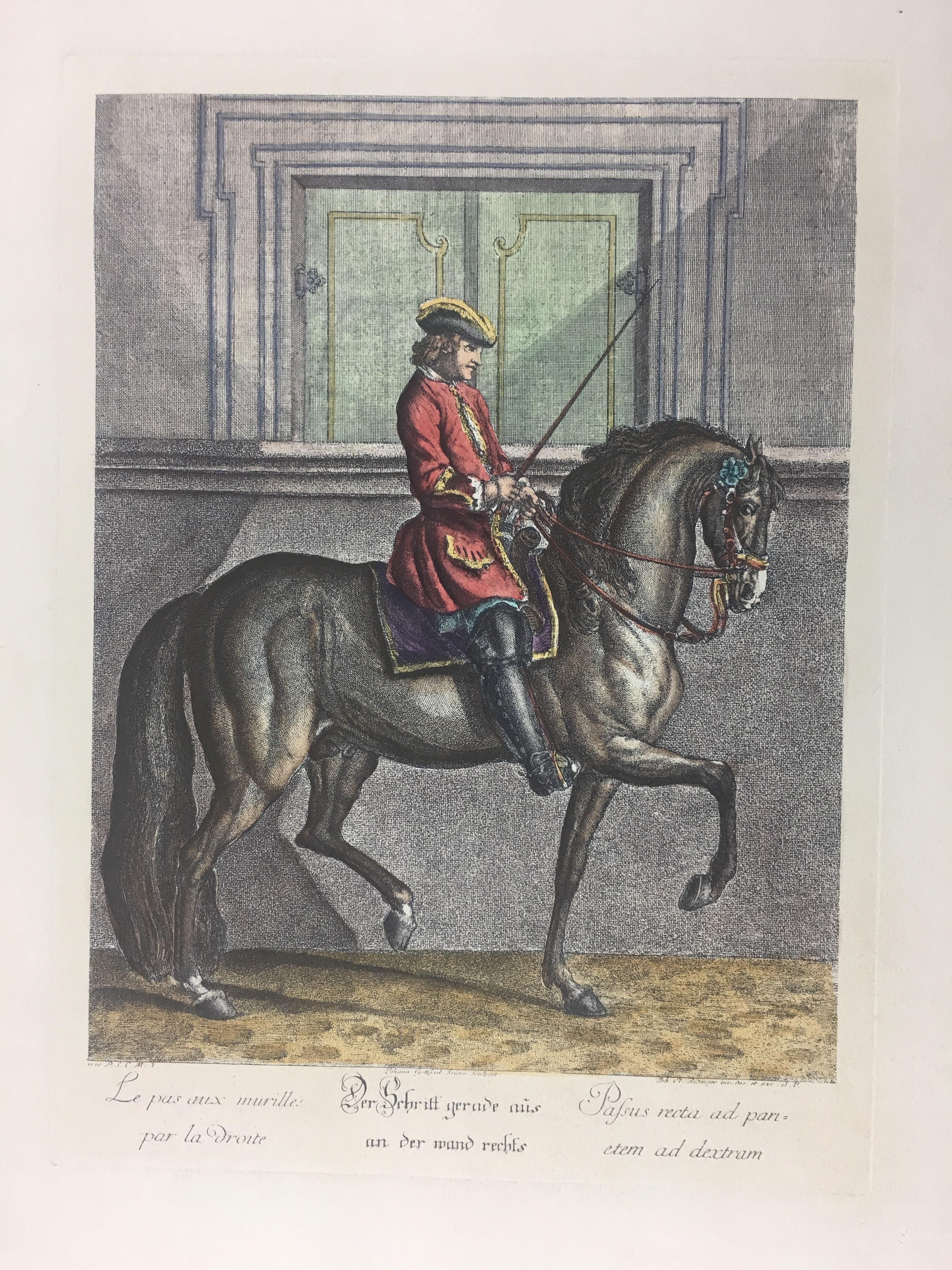 Pair of fine engraving prints each hand colored. Below each horse and rider are French, German and Latin names of the poses.
   
  