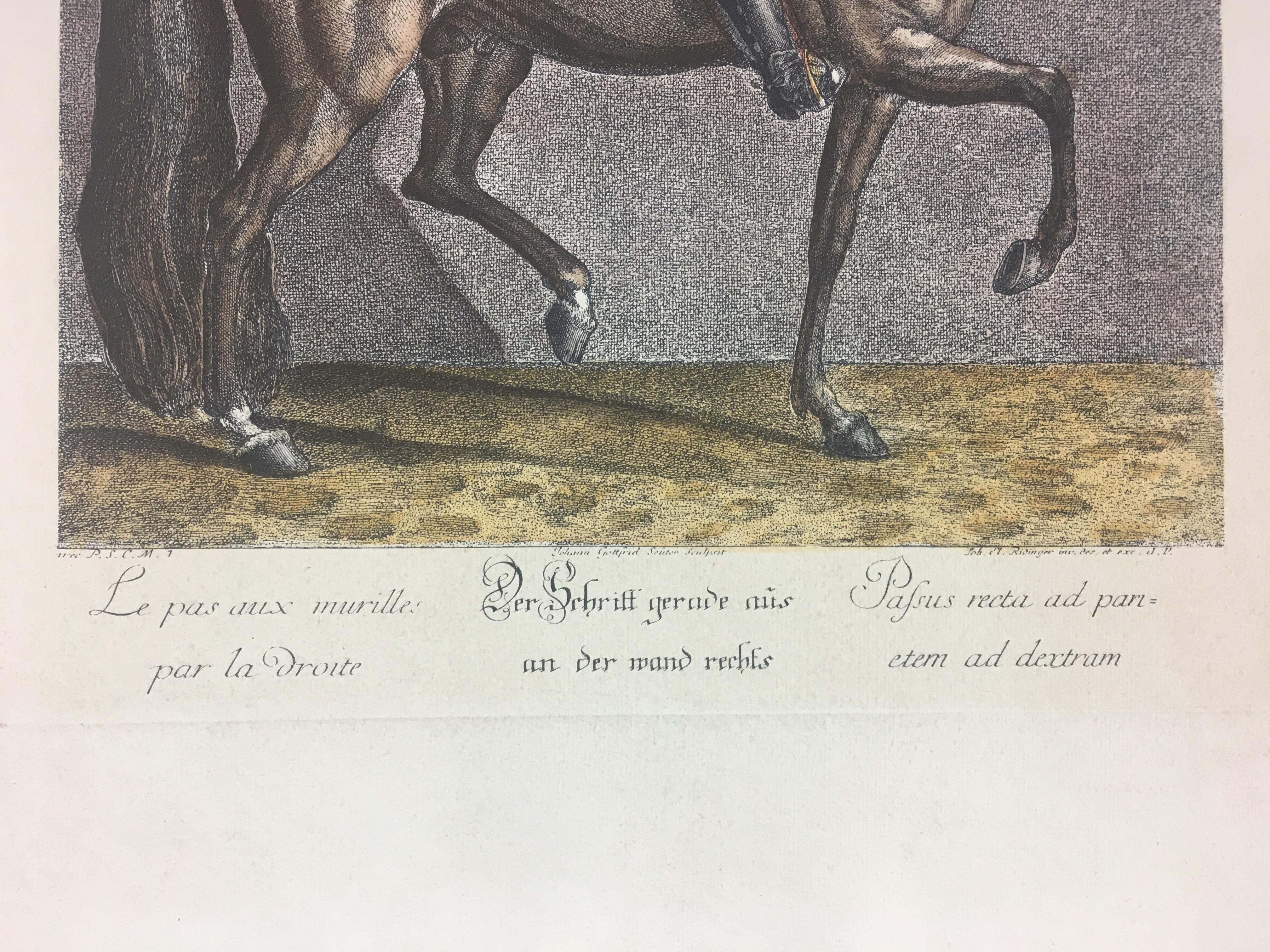 Pair of Engraving Prints of Horses and Riders in Dressage Poses In Good Condition In Miami, FL