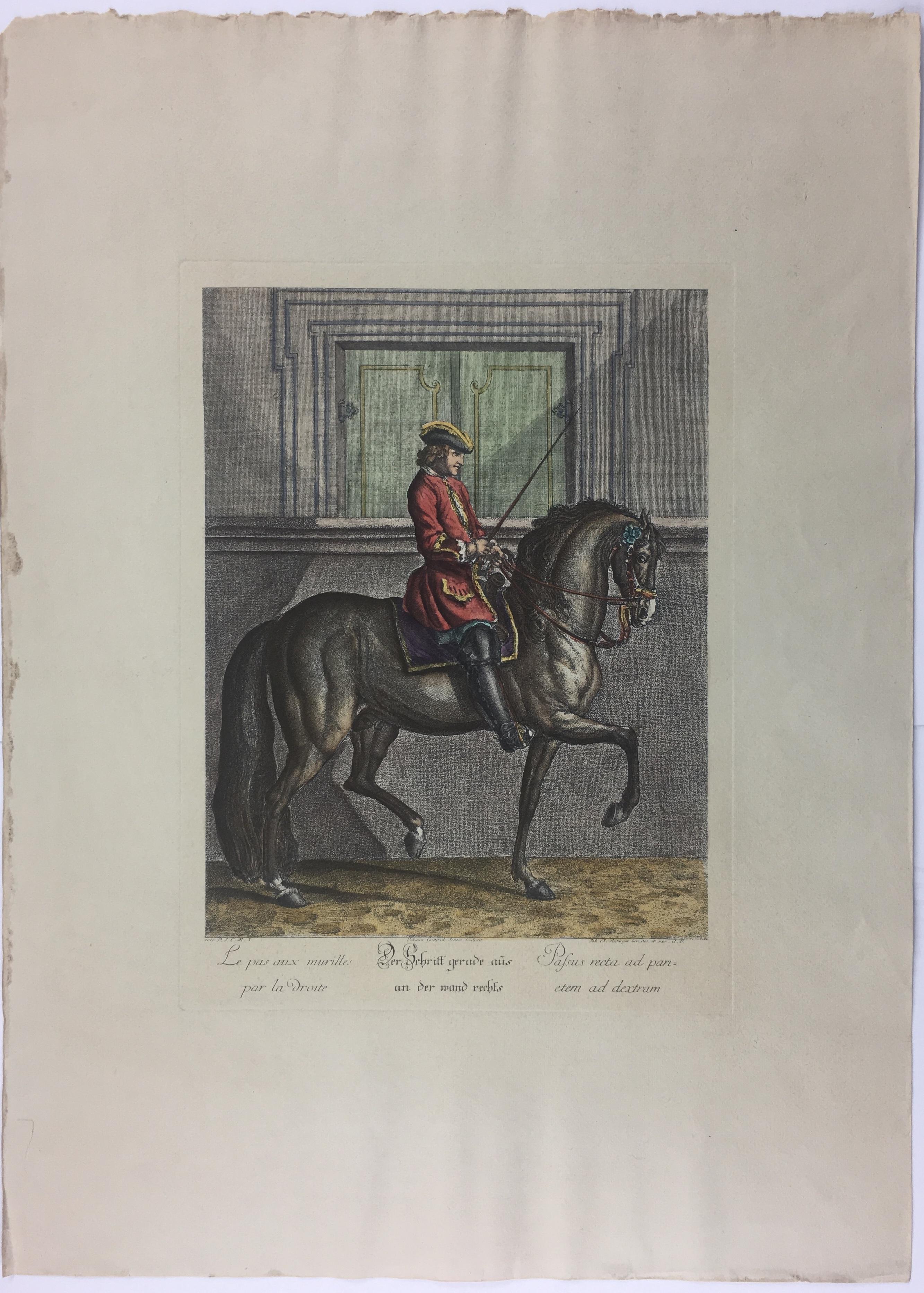 Paper Pair of Engraving Prints of Horses and Riders in Dressage Poses