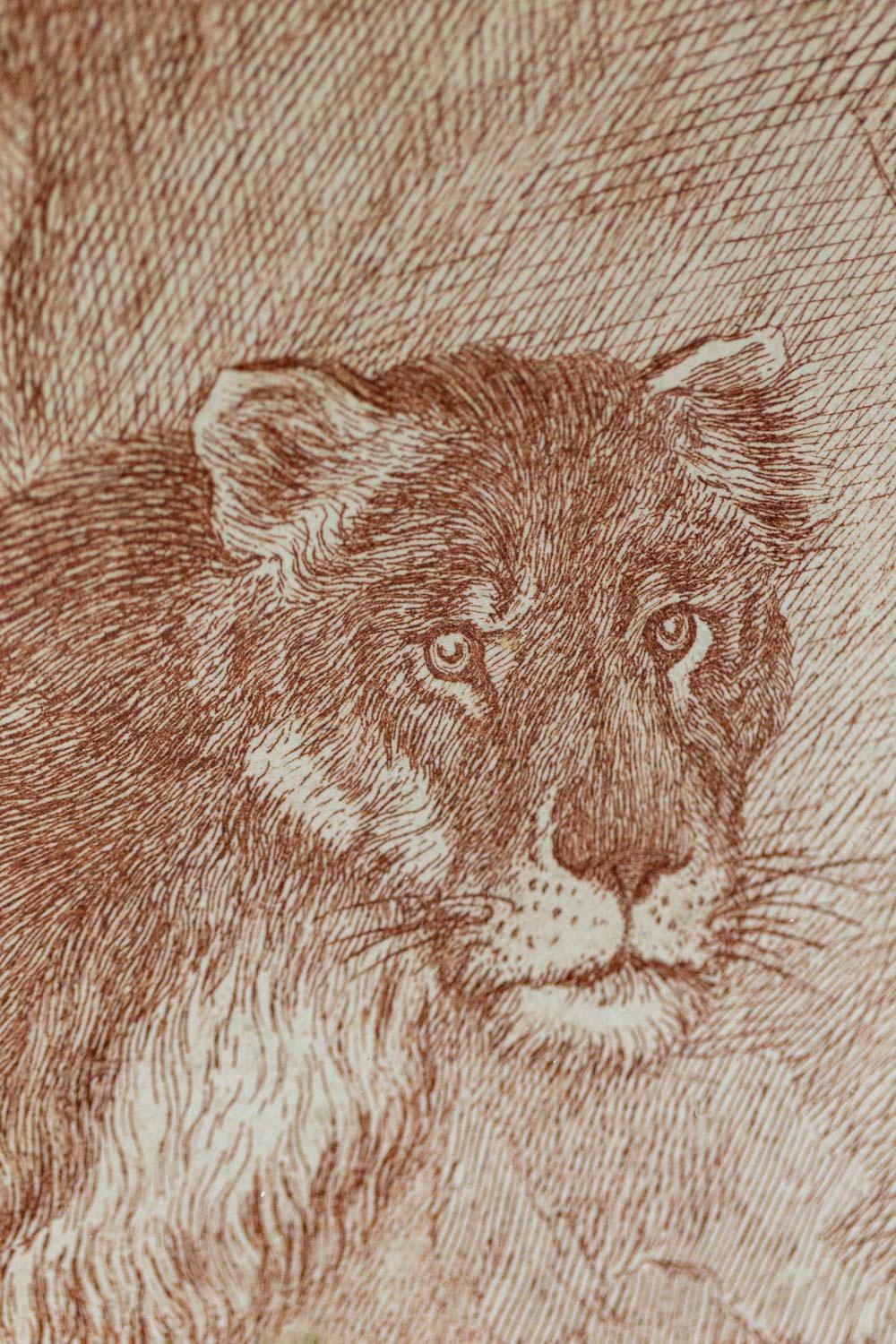 Wood Pair of Engravings Figuring a Lion and a Lioness, 19th Century